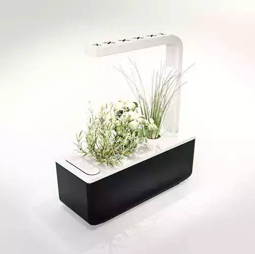 Indoor Herb Garden small