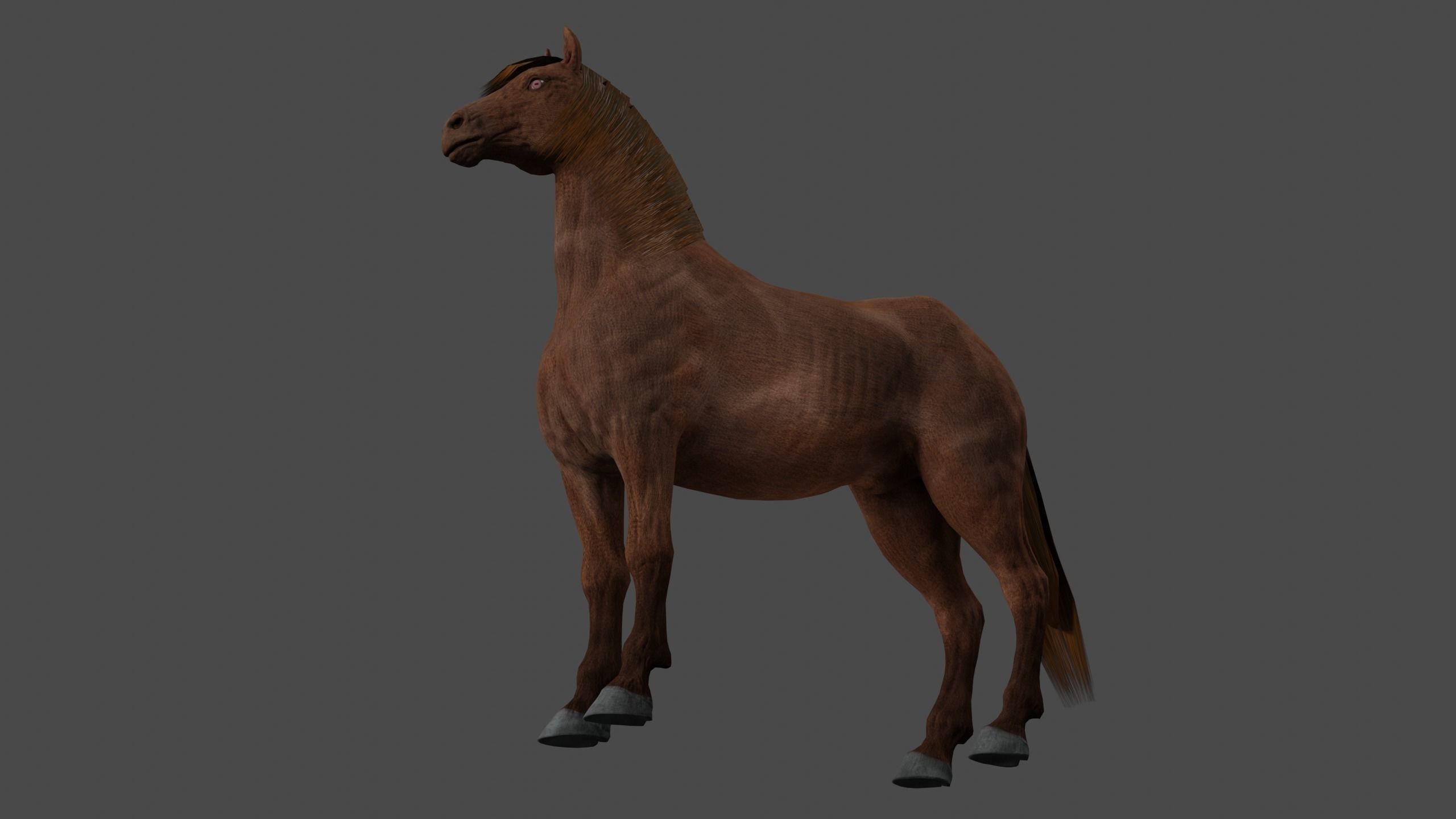 Horse PBR Low-poly 3D model_5