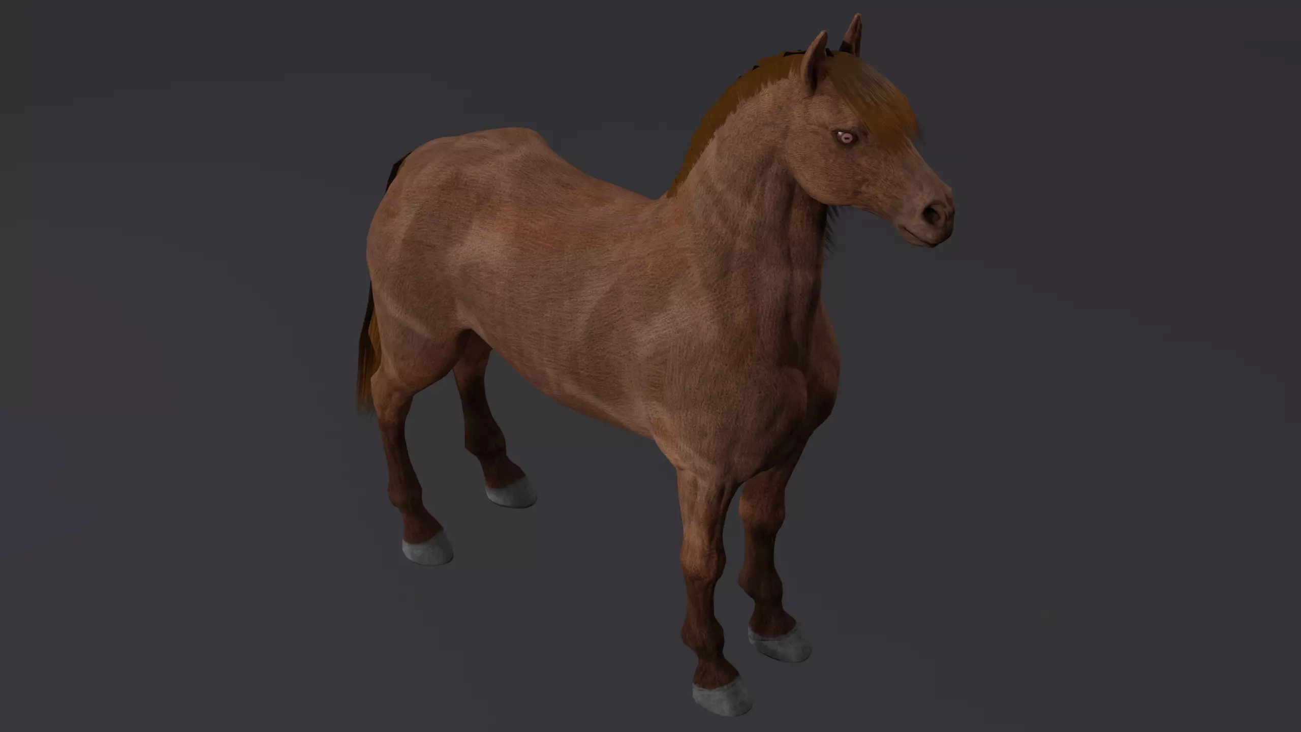 Horse PBR Low-poly 3D model_0