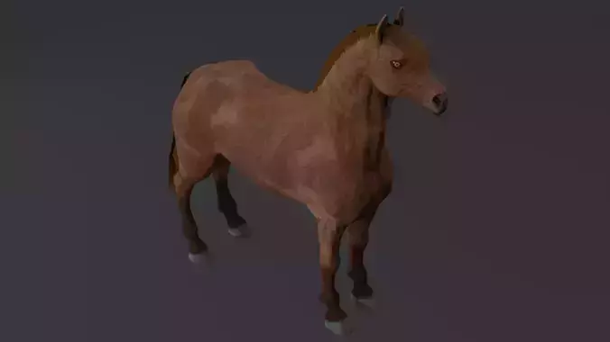 Horse PBR
