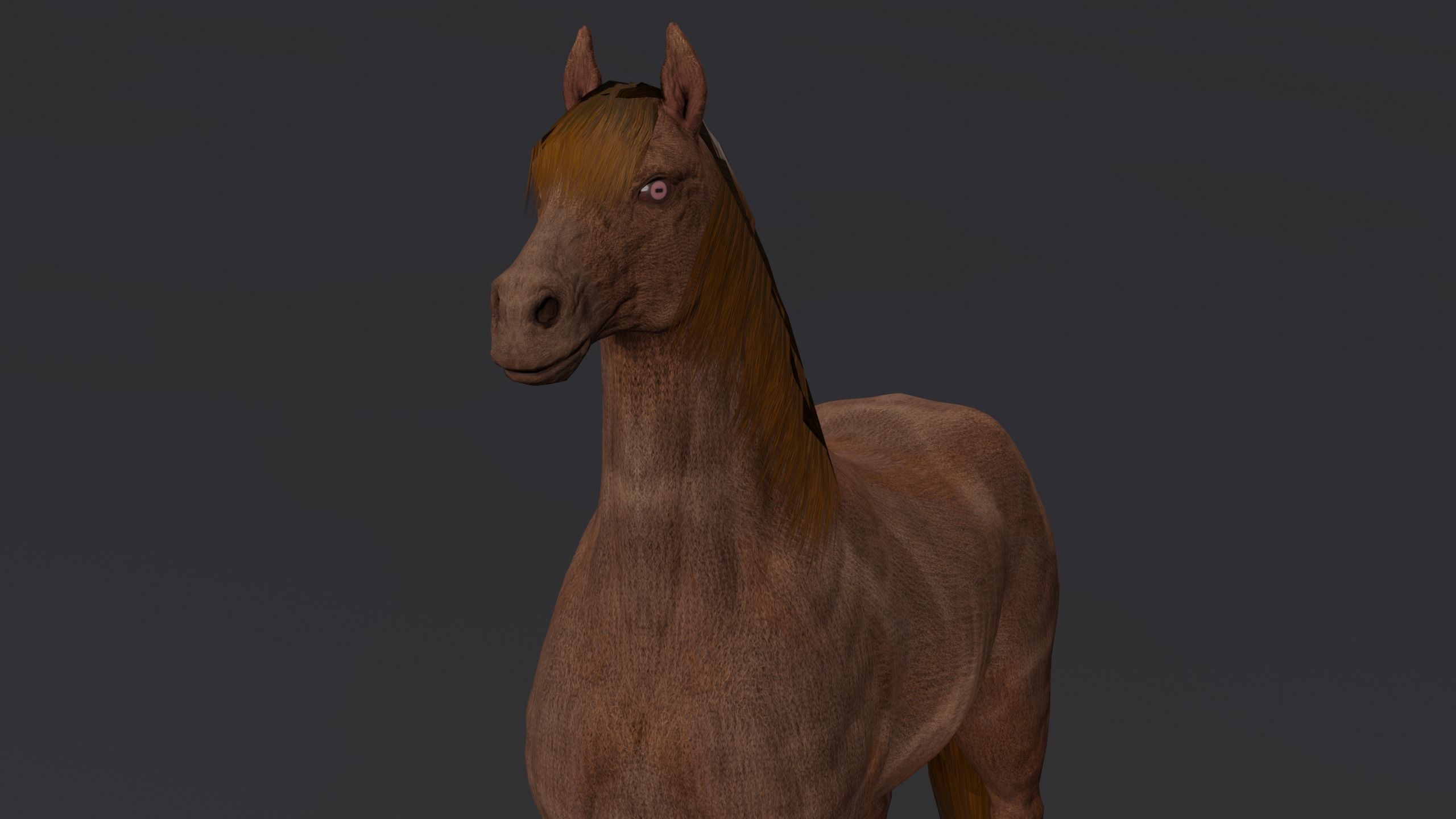 Horse PBR Low-poly 3D model_2