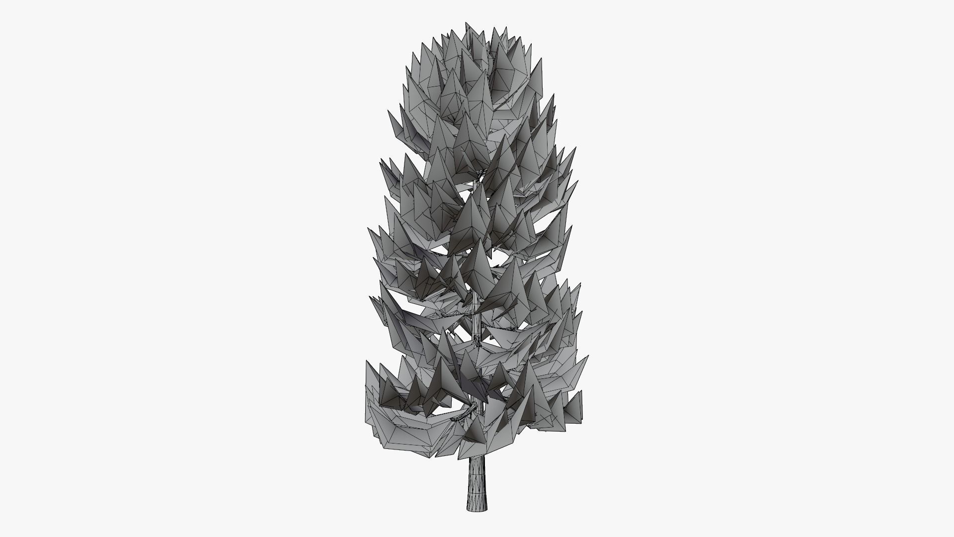 Lowpoly Pine v2 Low-poly 3D model_10