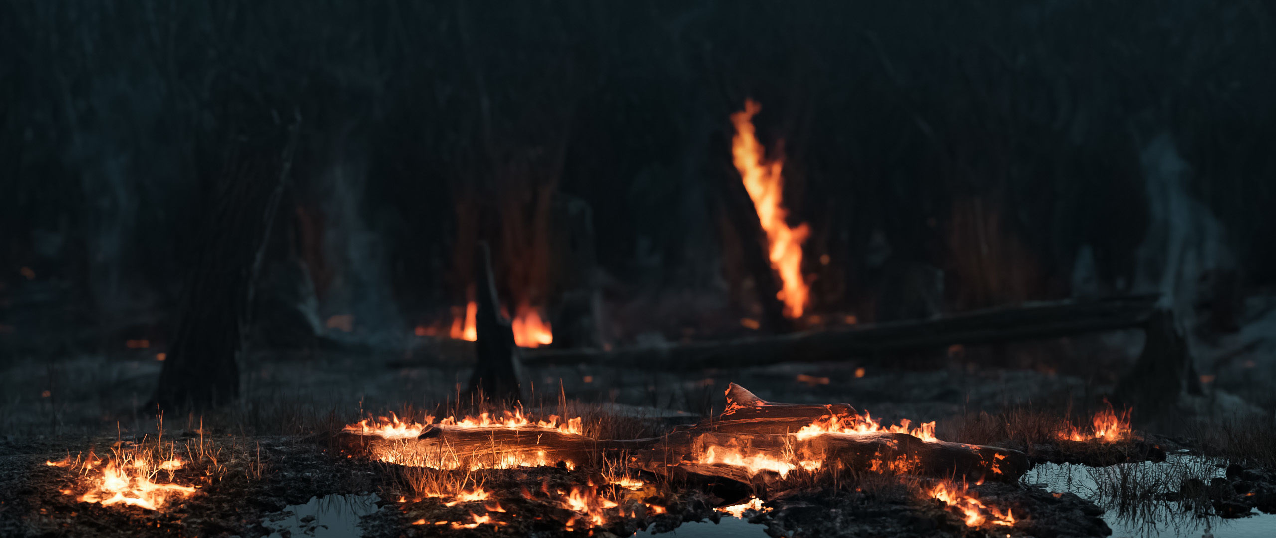 Real Fire Fire Shader Material Big Vdb Animated Assets Library Low-poly 3D model_2