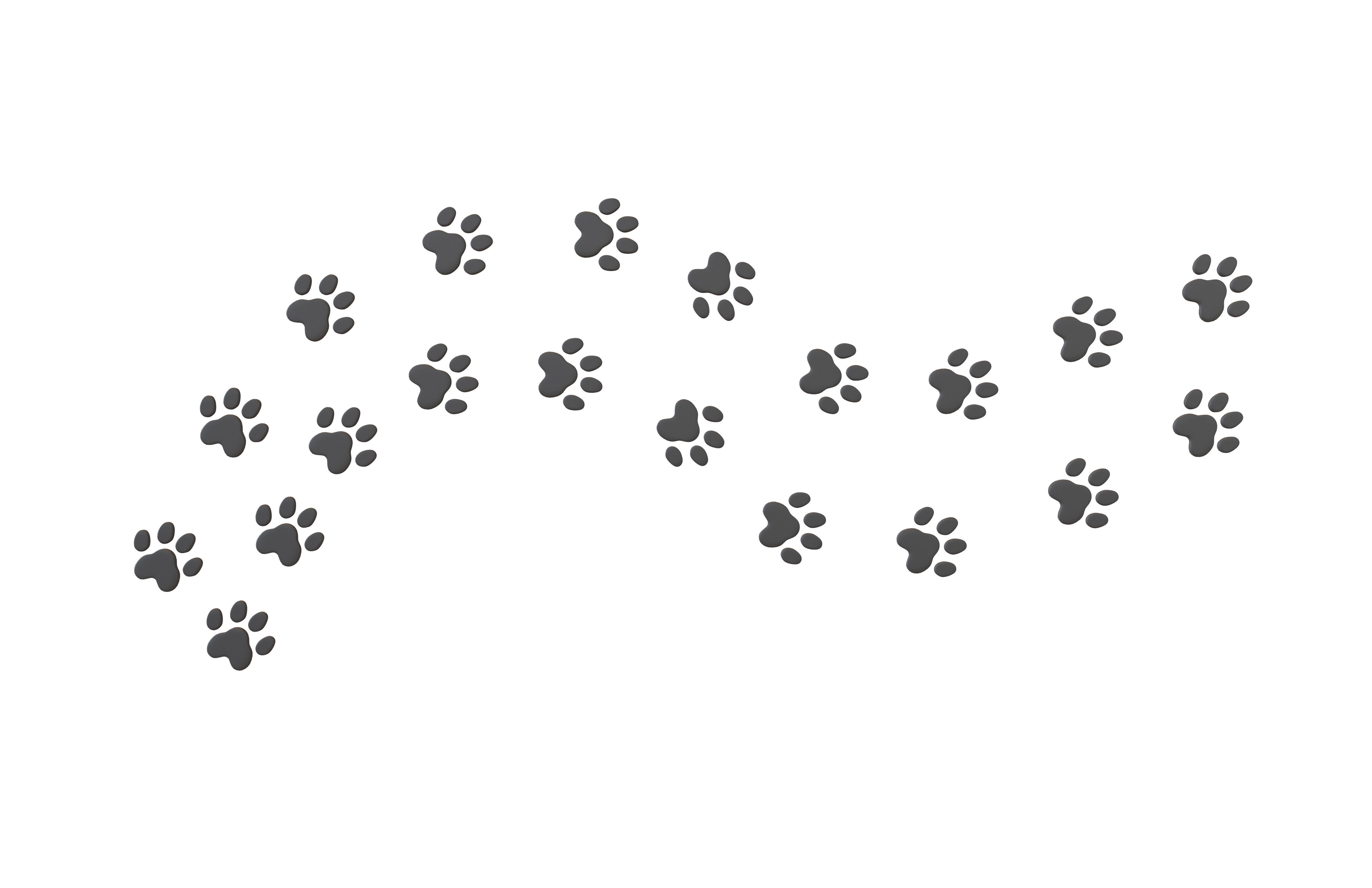 Dog Paw Print Path v1 001 Low-poly 3D model
