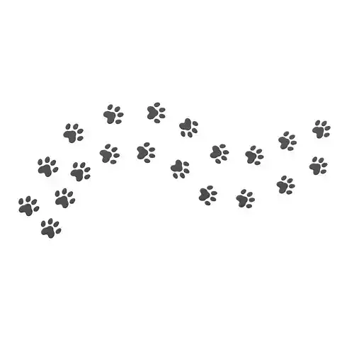 Dog Paw Print Path v1 001
