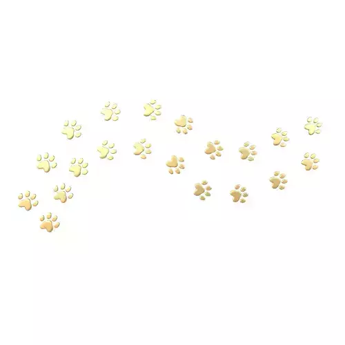 Dog Paw Print Path v1 003