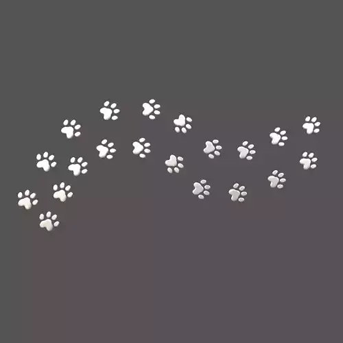Dog Paw Print Path v1 004