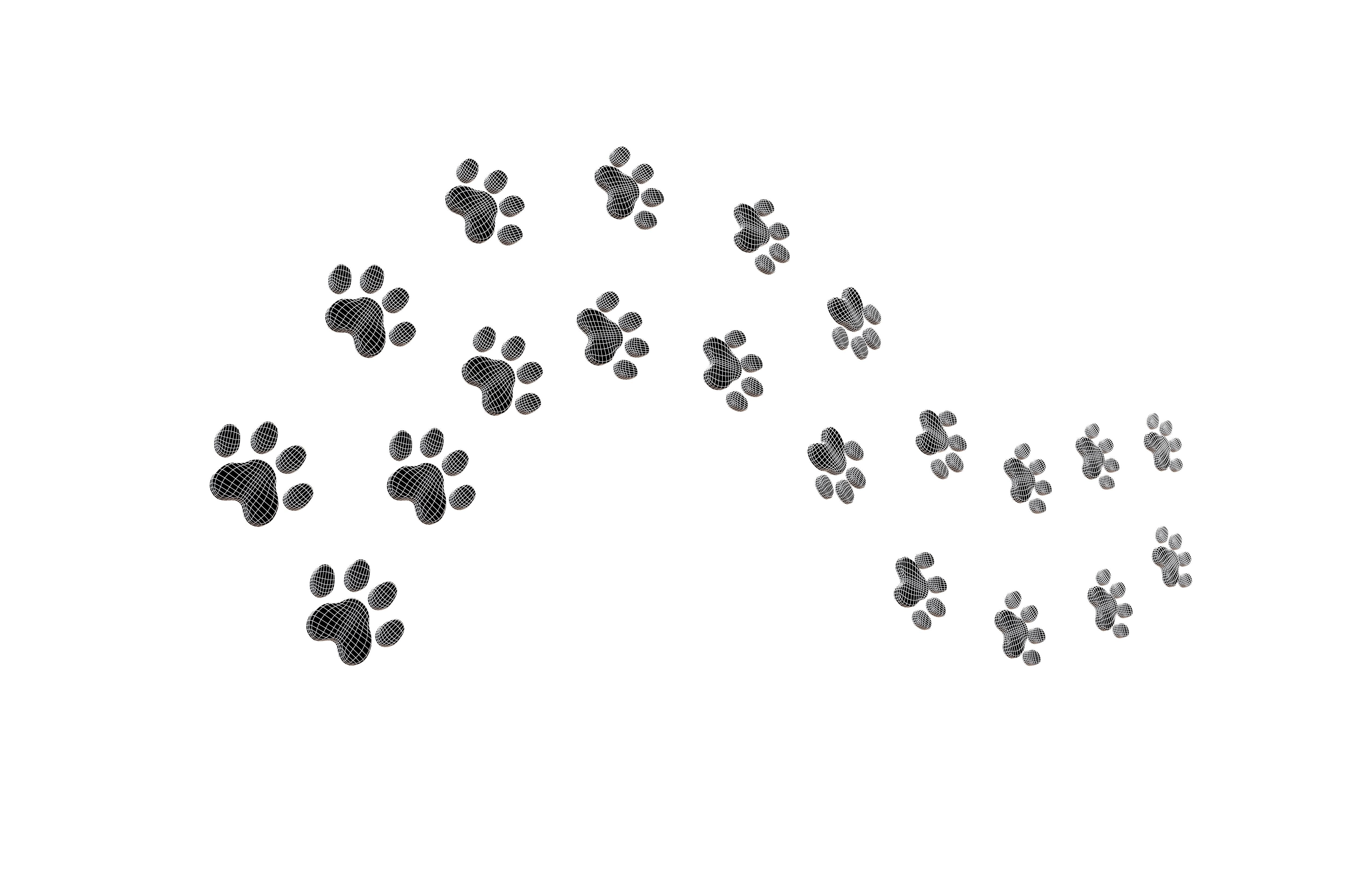 Dog Paw Print Path v1 005 Low-poly 3D model_5