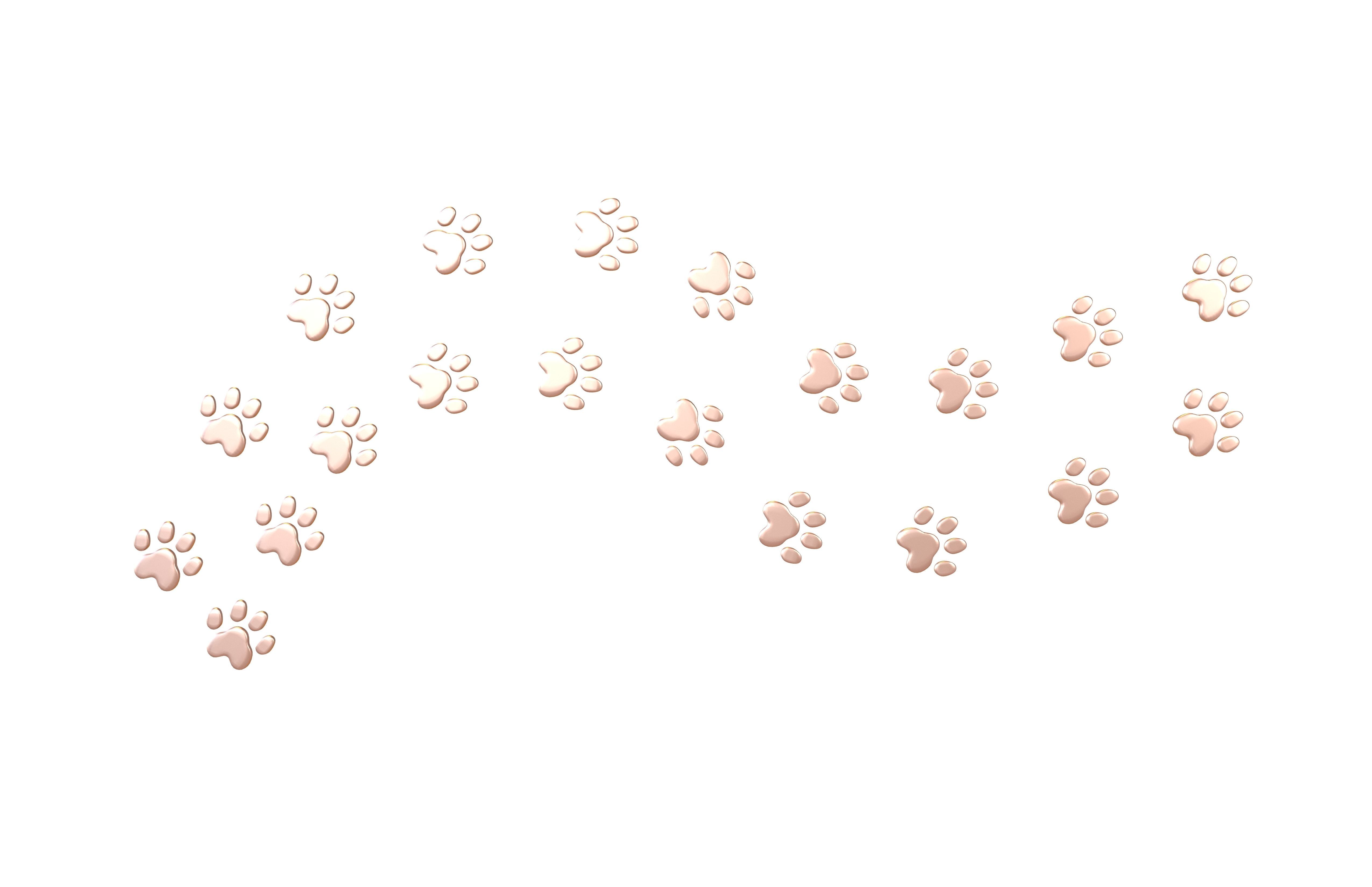 Dog Paw Print Path v1 005 Low-poly 3D model_2