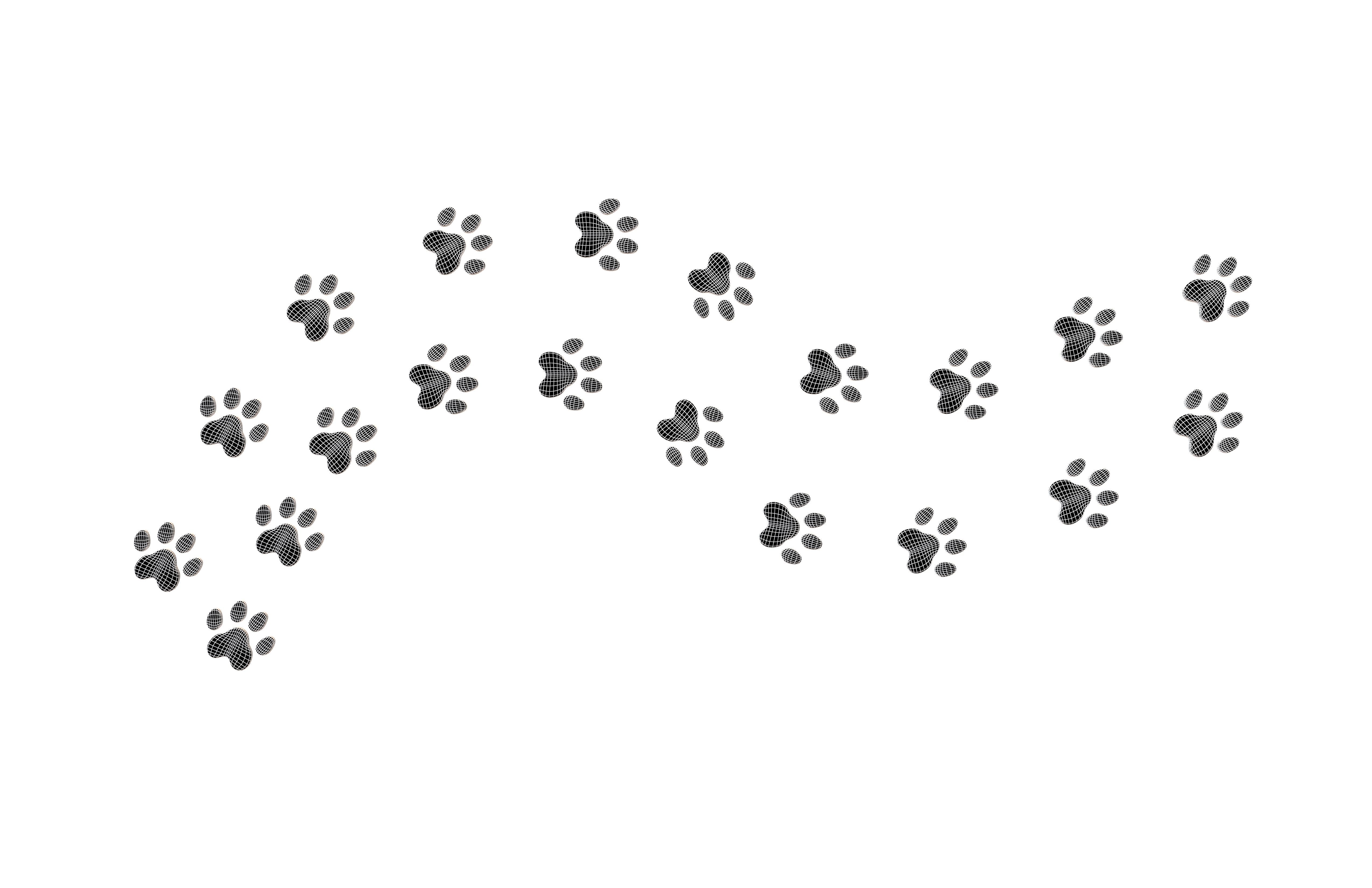 Dog Paw Print Path v1 005 Low-poly 3D model_6