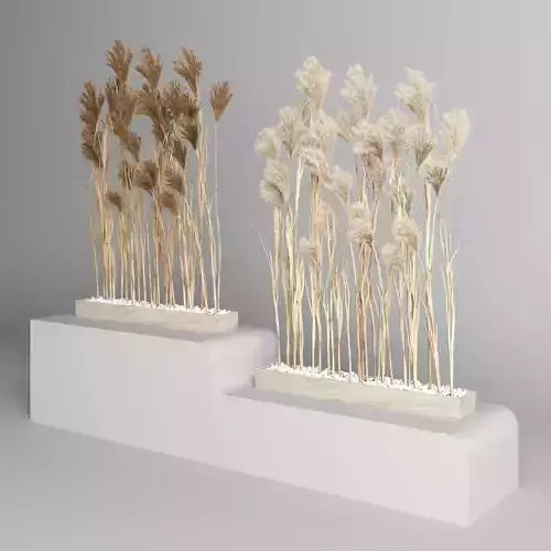 Reeds Flower decor
