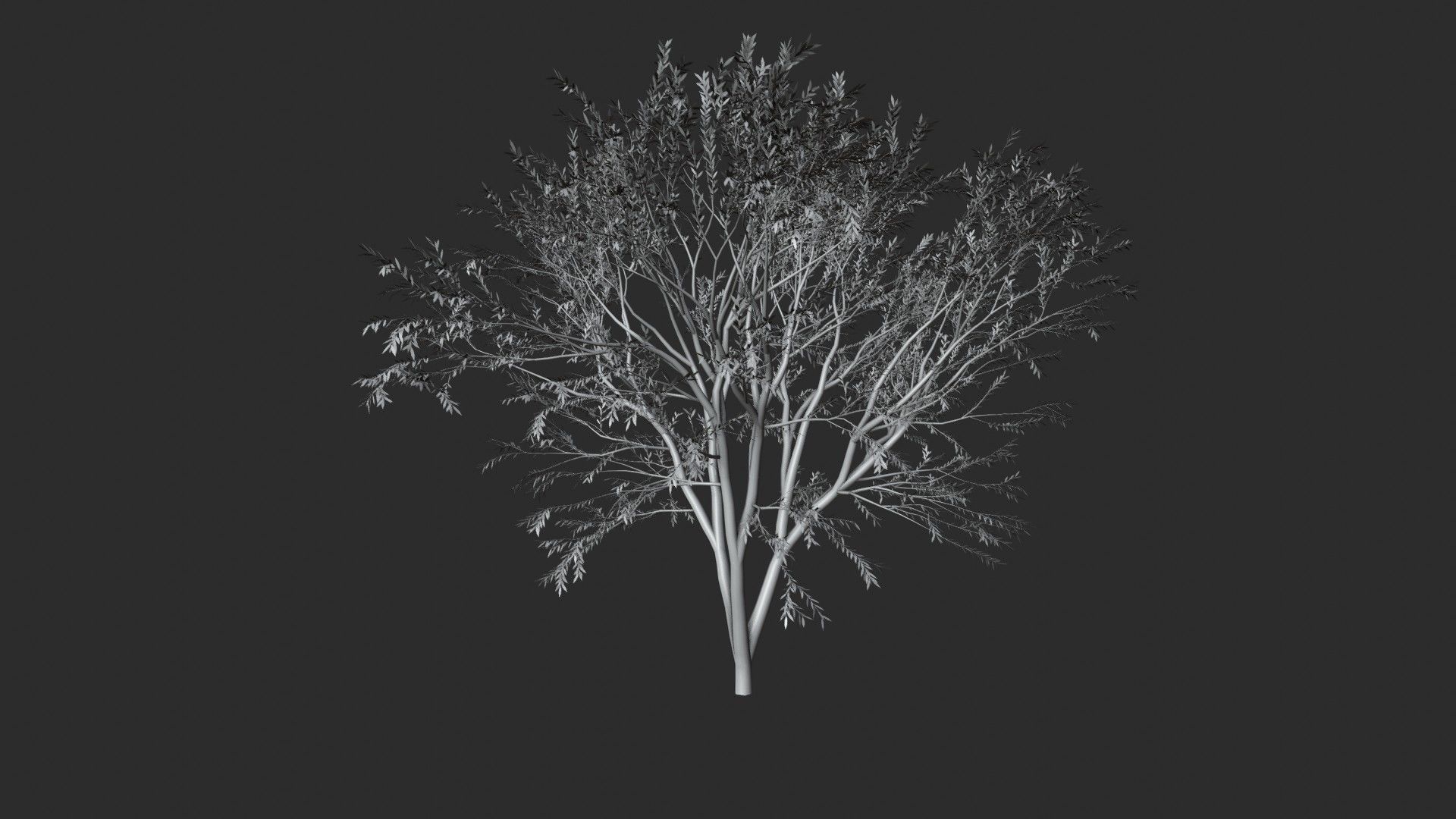 Tree with leafs Animated Low-poly 3D model_9