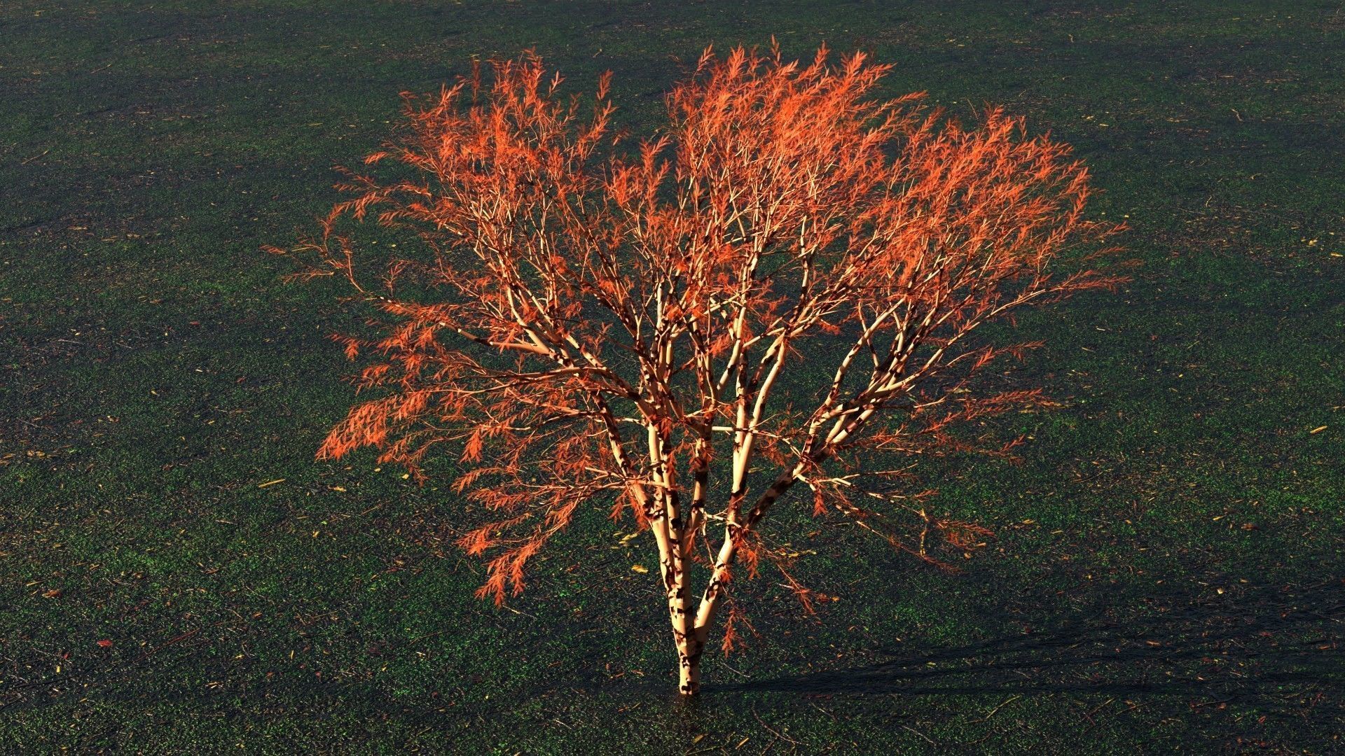 Tree with leafs Animated Low-poly 3D model_3