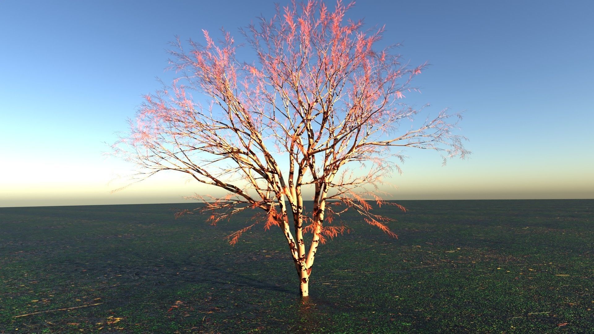 Tree with leafs Animated Low-poly 3D model_6