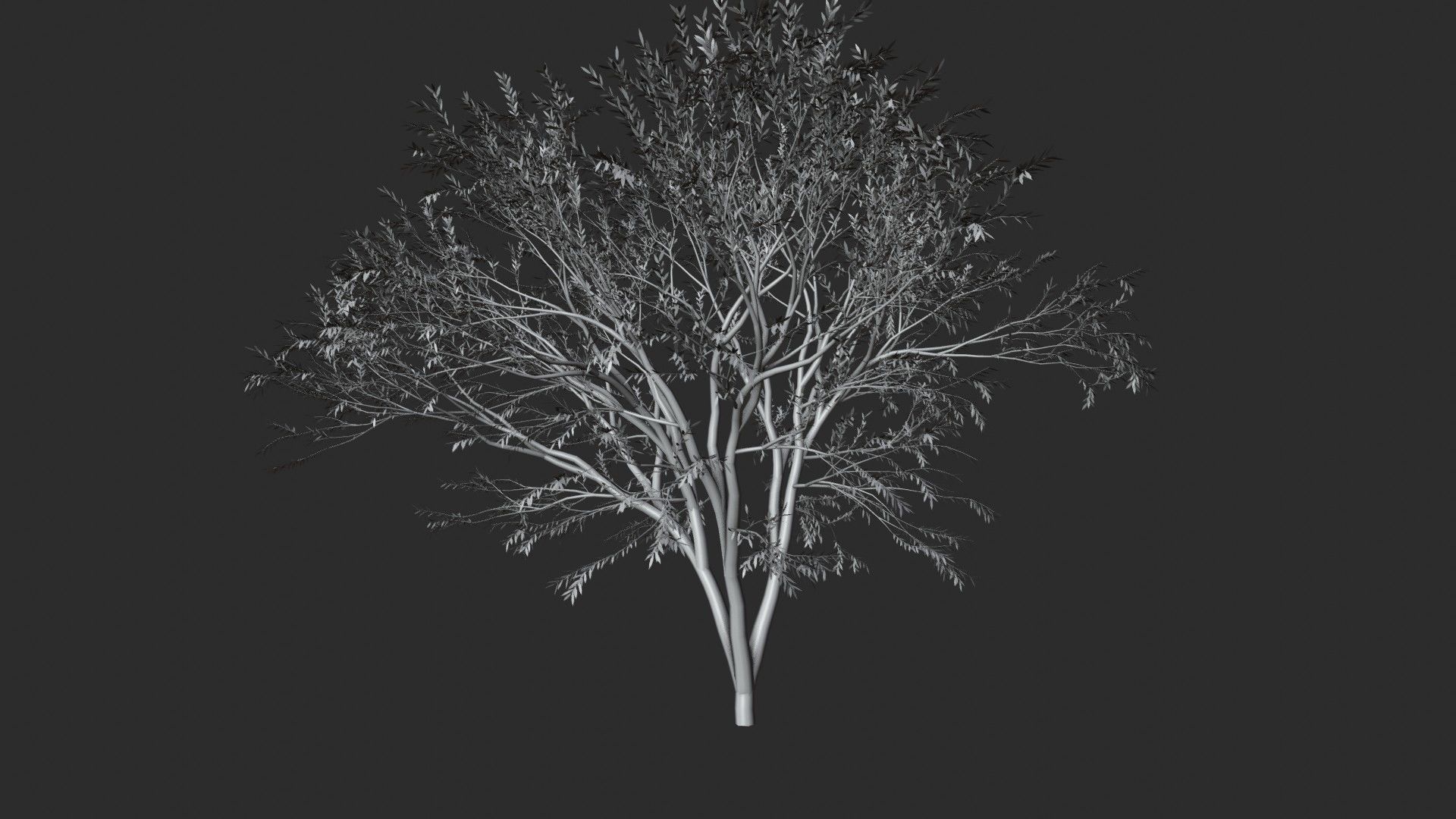 Tree with leafs Animated Low-poly 3D model_8