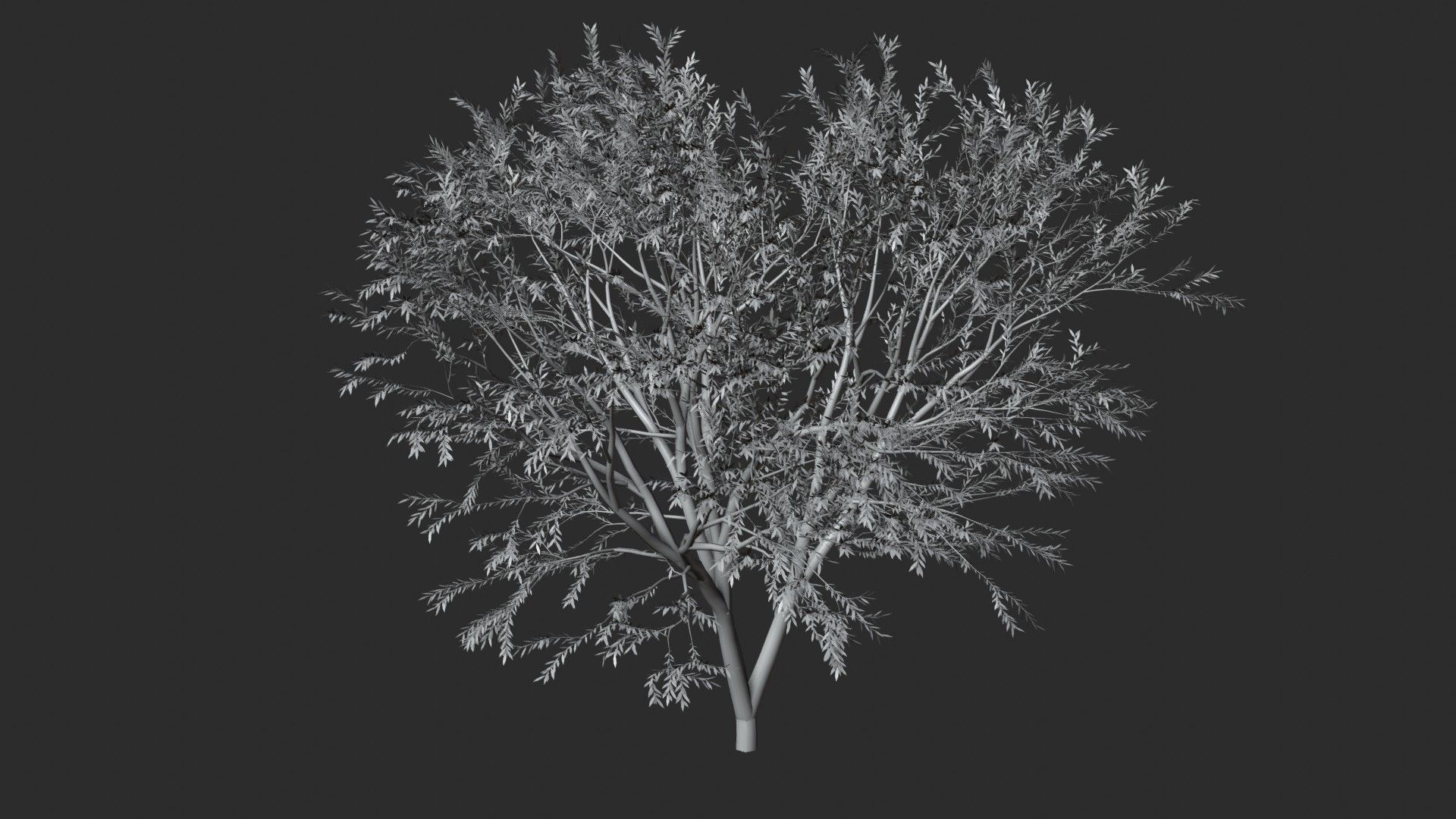 Tree with leafs Animated Low-poly 3D model_11