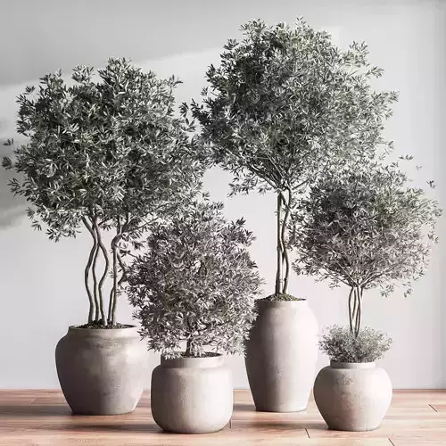 IndoorSetPlant044 3D model