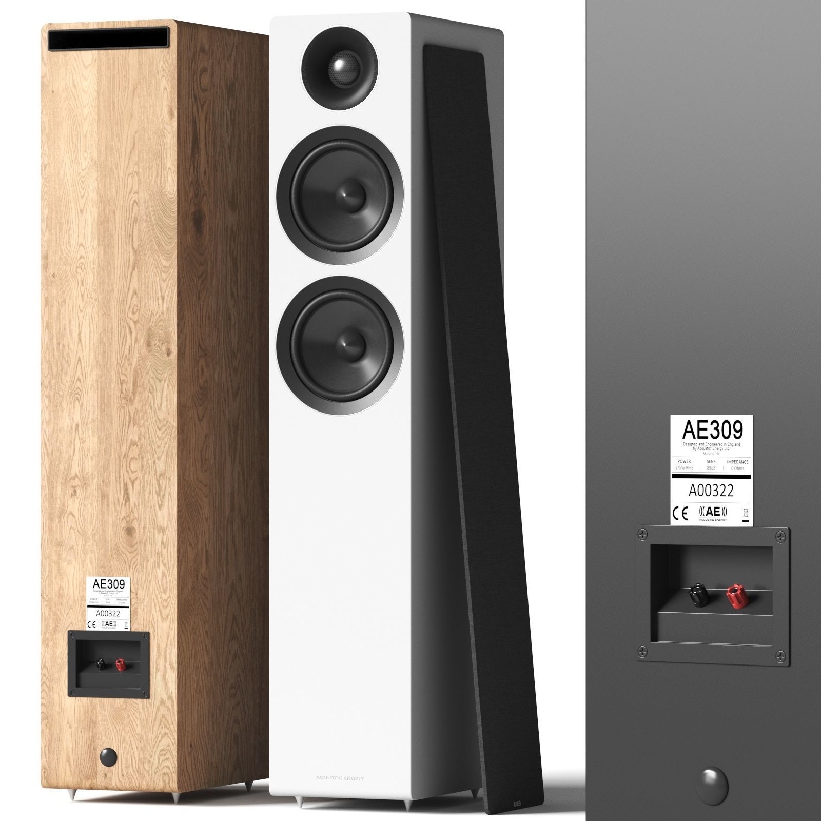 Acoustic Energy AE 309 3D model_2