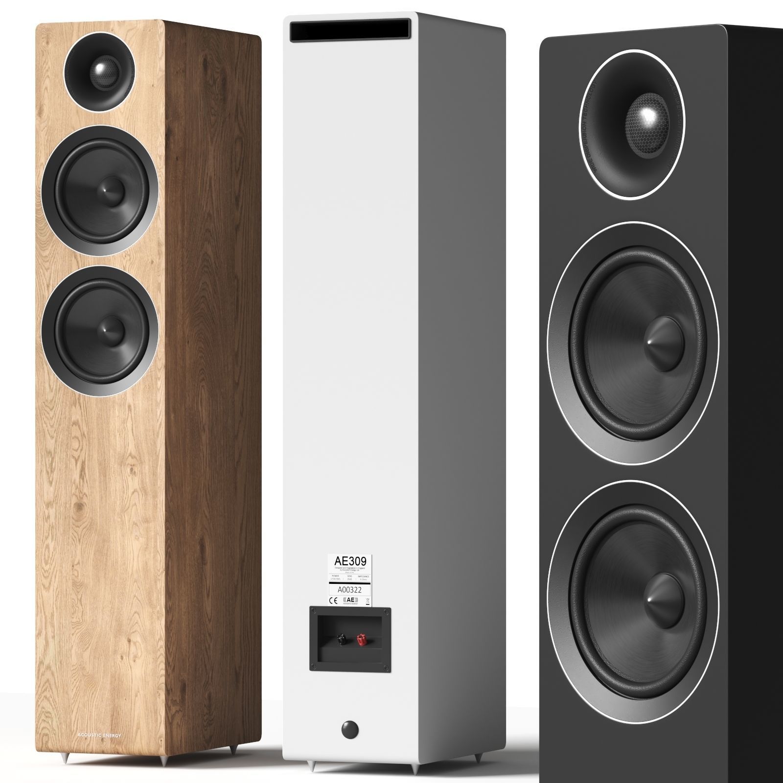 Acoustic Energy AE 309 3D model_3