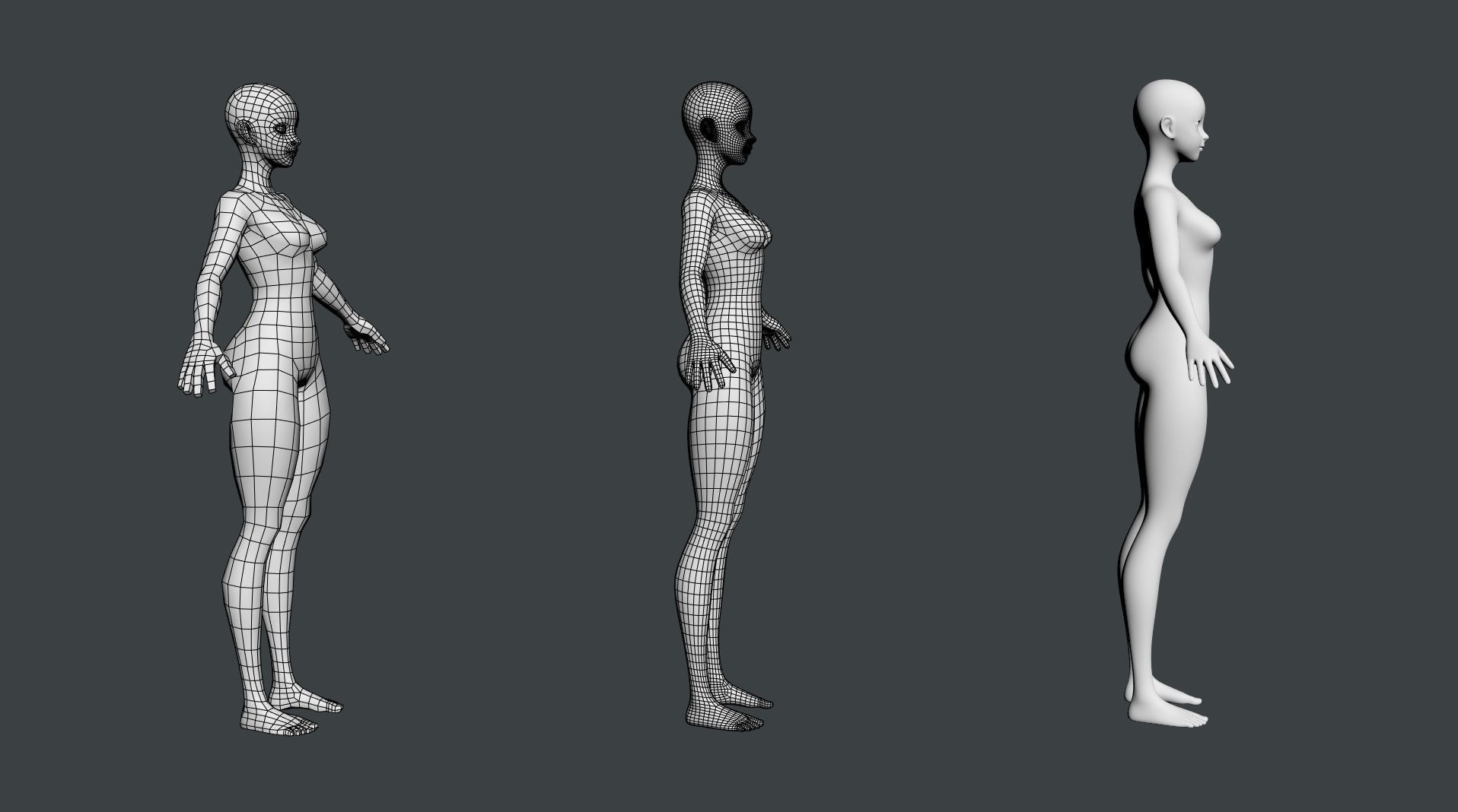 Stylized Female 02 Fine Shape Mesh 3D model_12