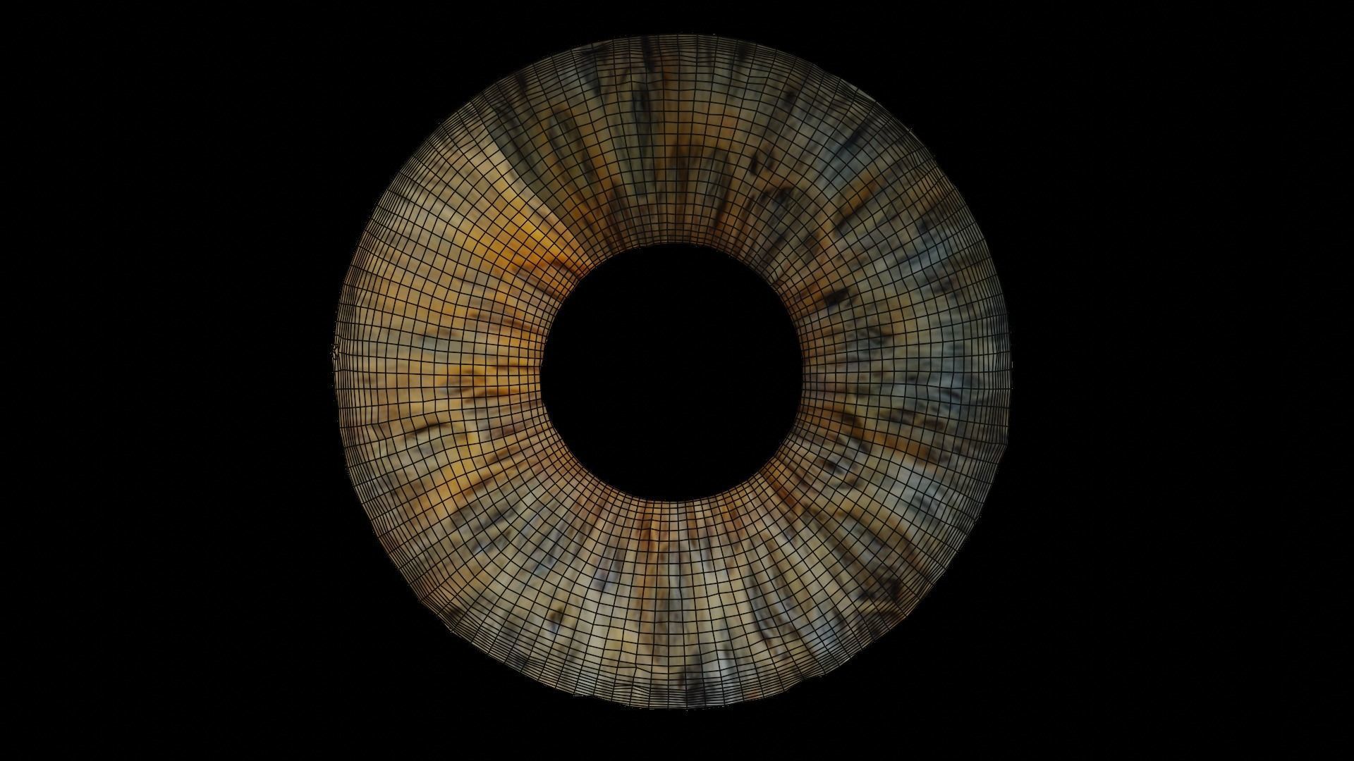 Human iris 3D model_6