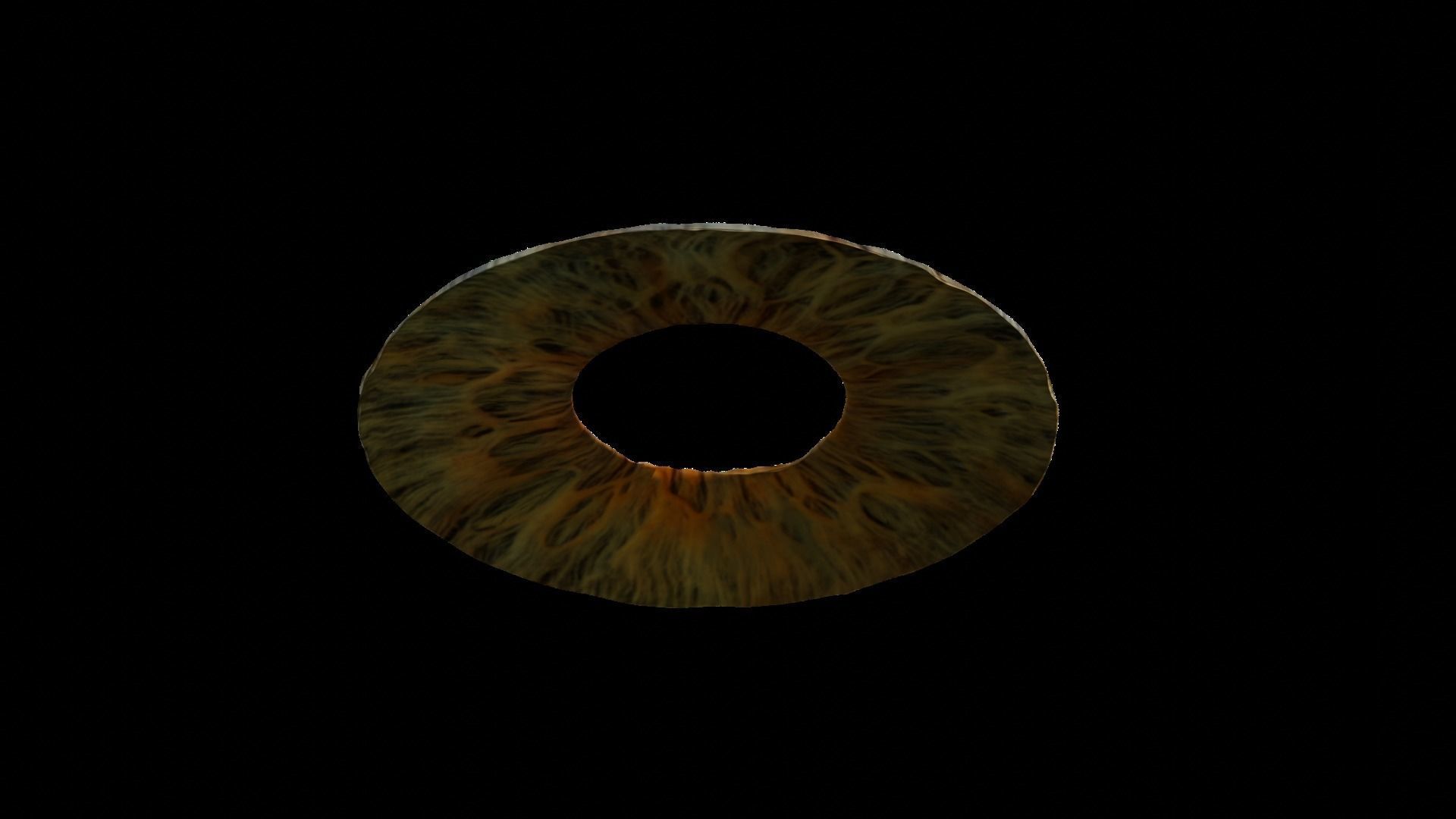 Human iris 3D model_2