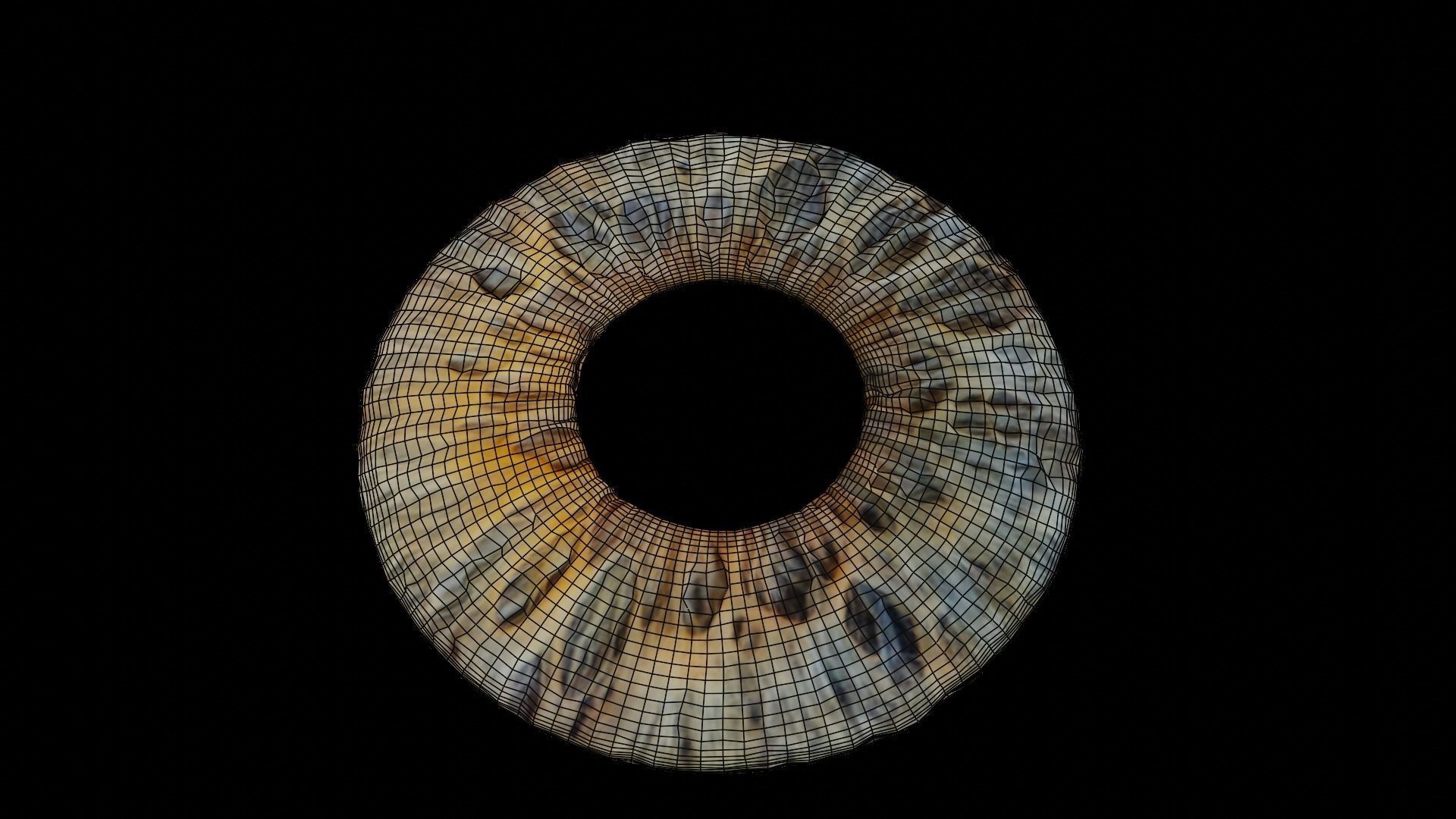 Human iris 3D model_4