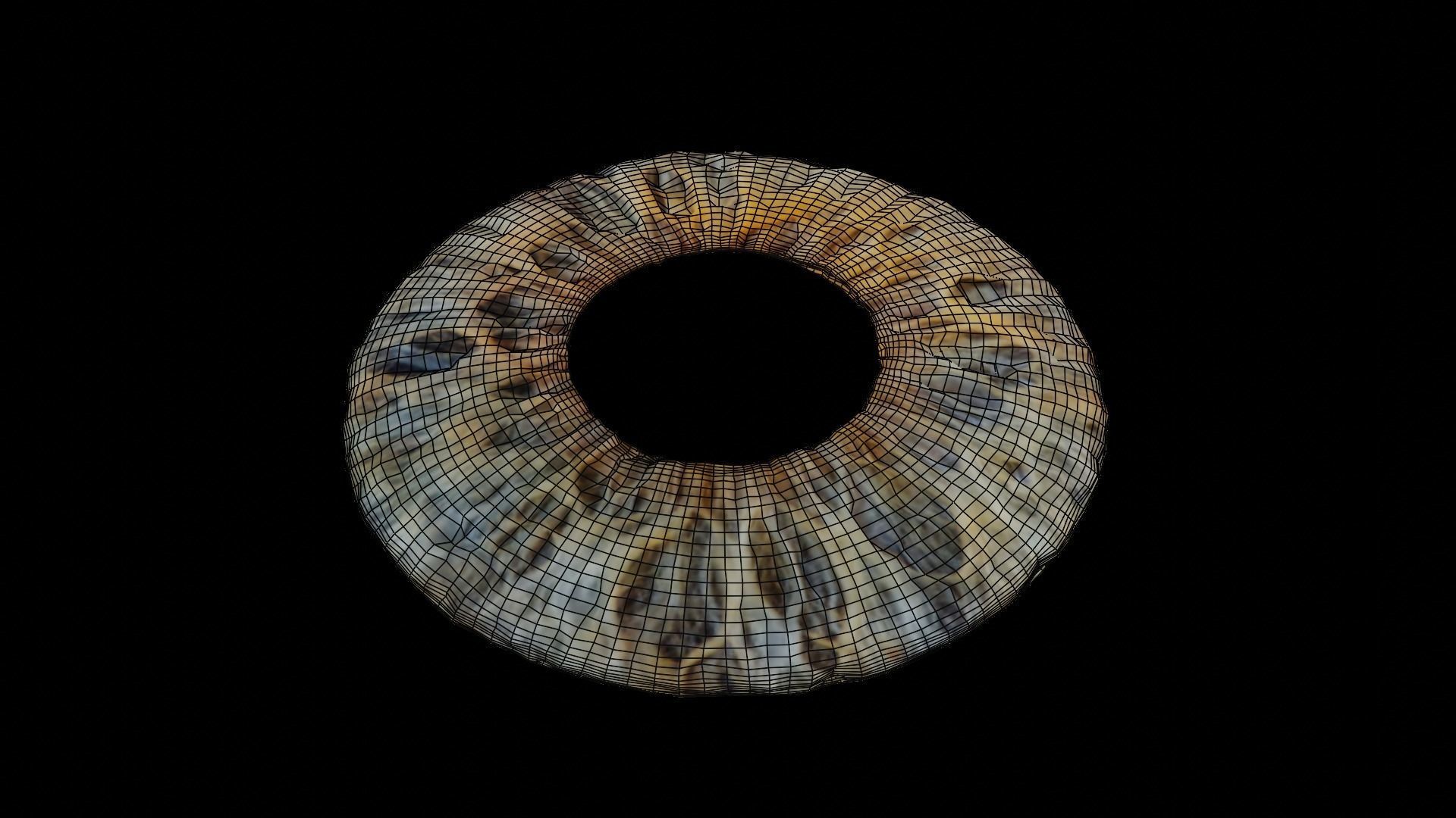 Human iris 3D model_5