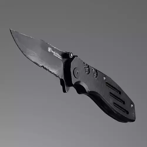 Pocket knife Smith and Wesson swa24s