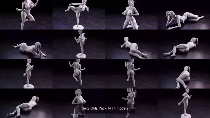Sexy Girls Pack 14 3D Model Collection