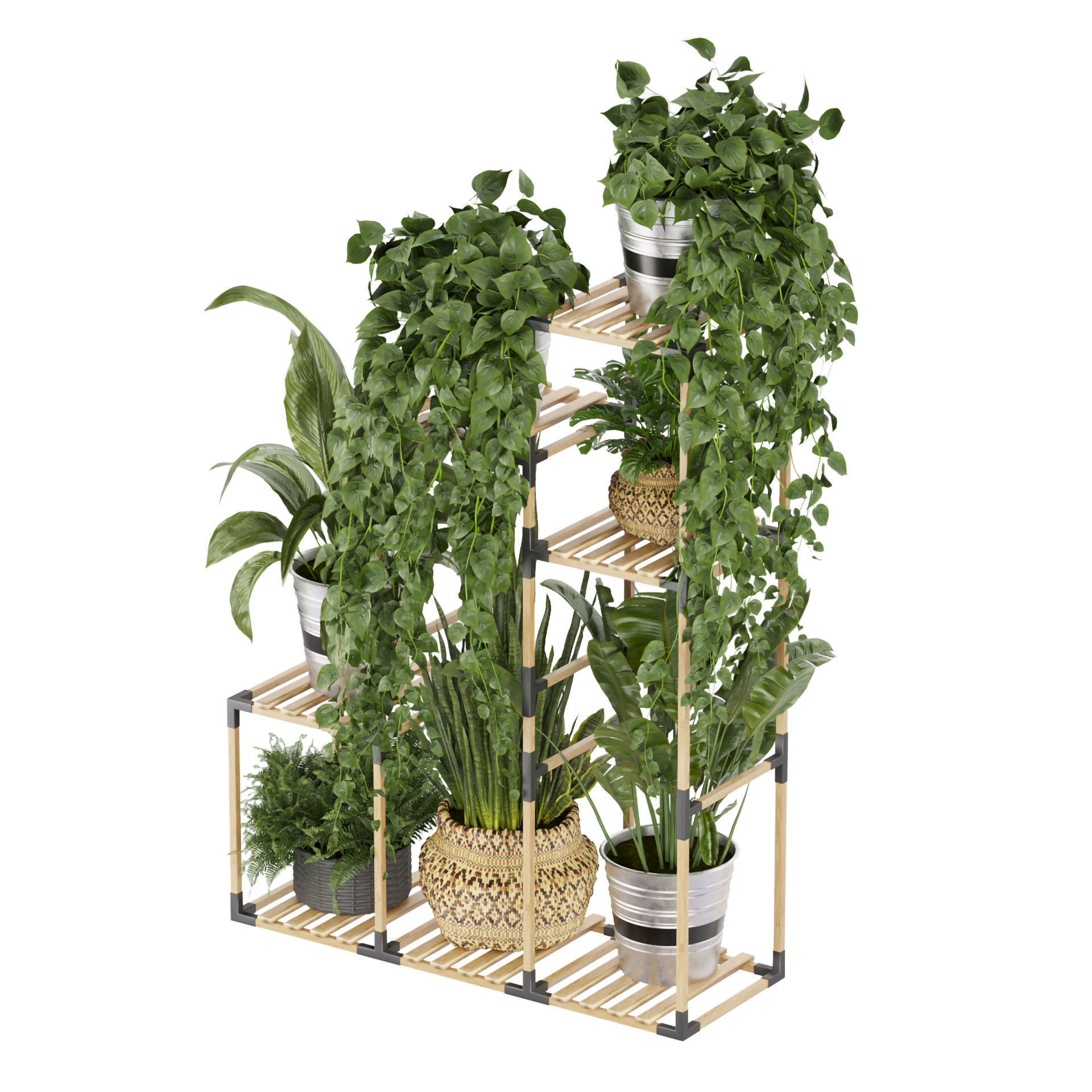 Collection plant vol 498 - stand- pothos 3D model_4