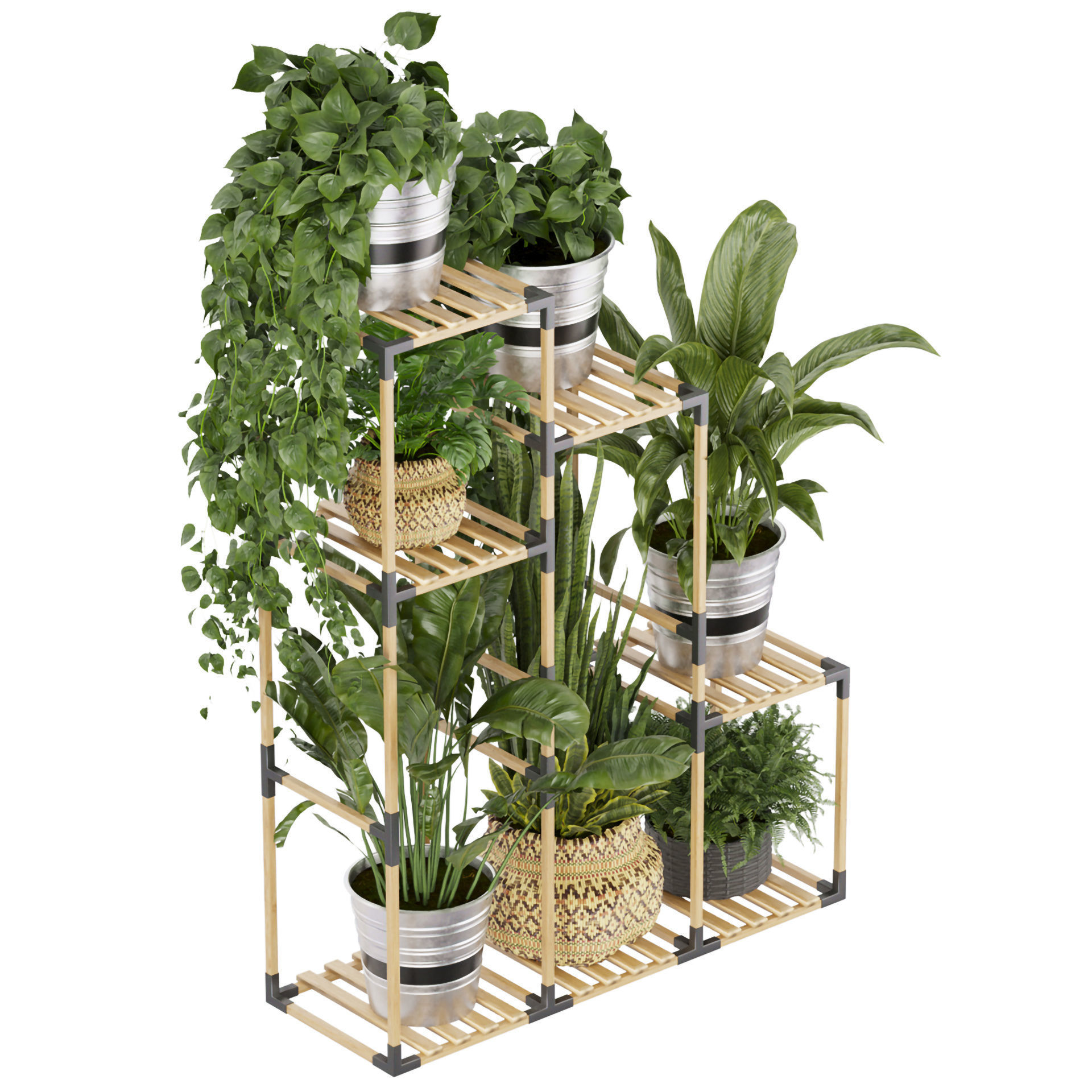 Collection plant vol 498 - stand- pothos 3D model_2