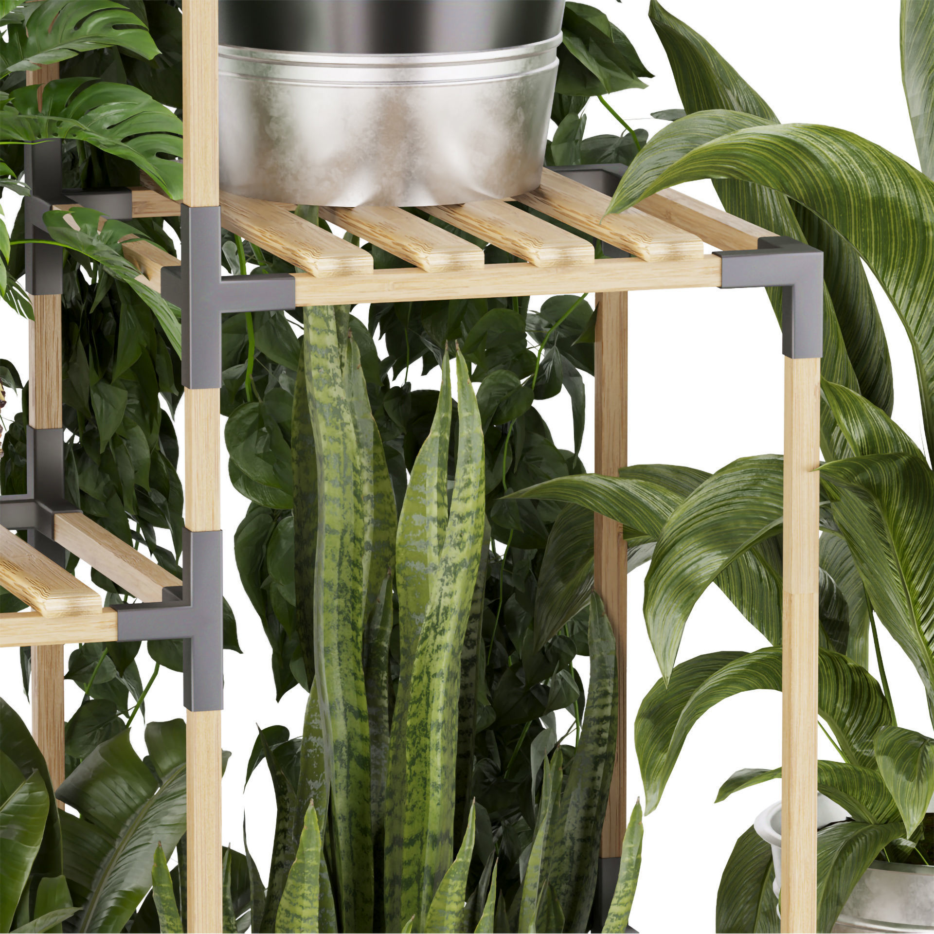 Collection plant vol 498 - stand- pothos 3D model_5