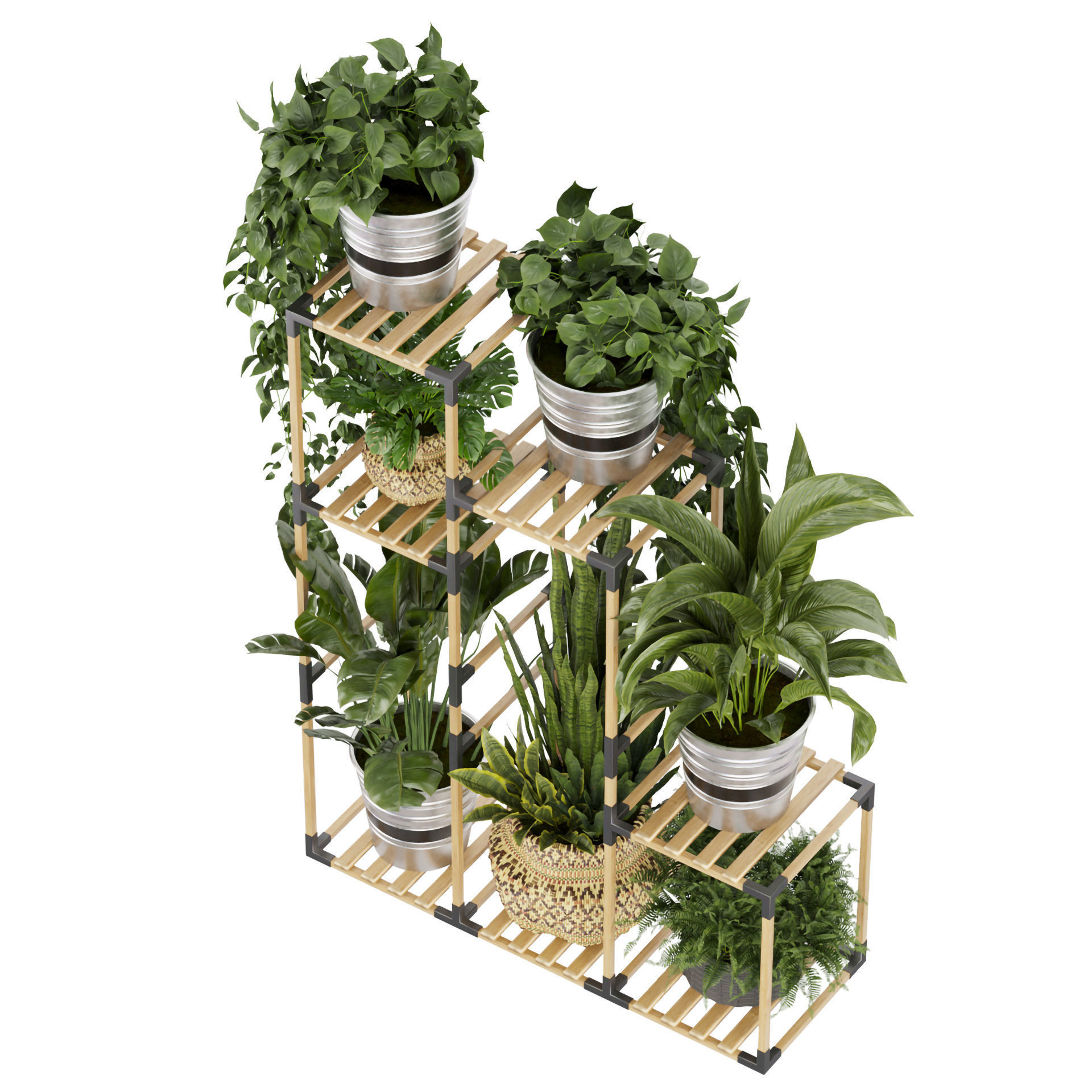 Collection plant vol 498 - stand- pothos 3D model_3