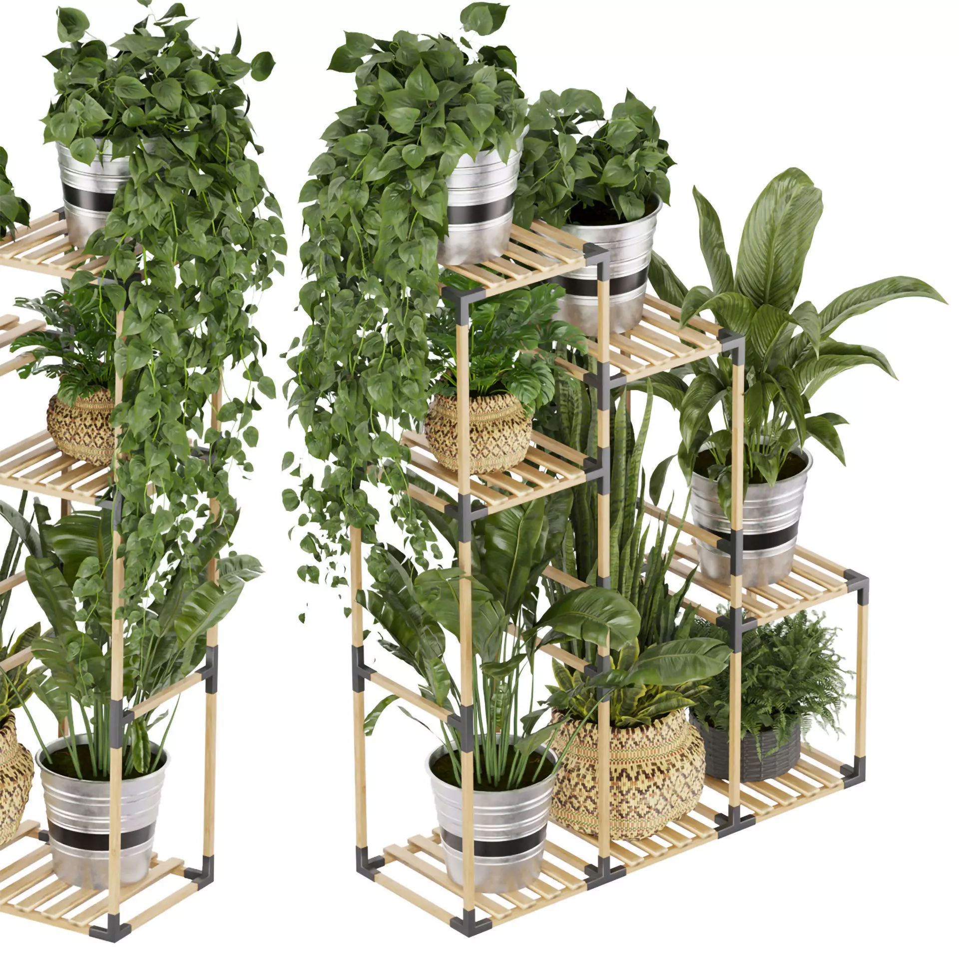 Collection plant vol 498 - stand- pothos 3D model_0