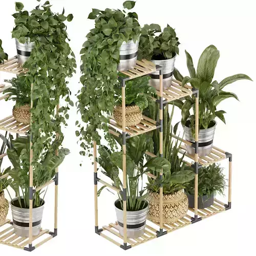 Collection plant vol 498 - stand- pothos  3D model