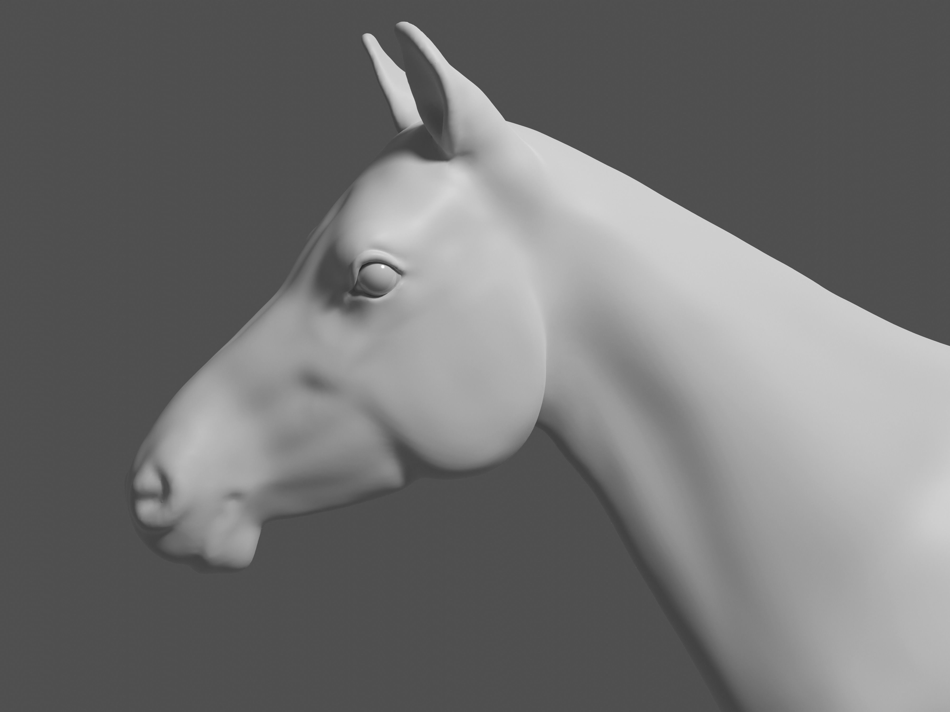 Most realistic horse 3D model_9
