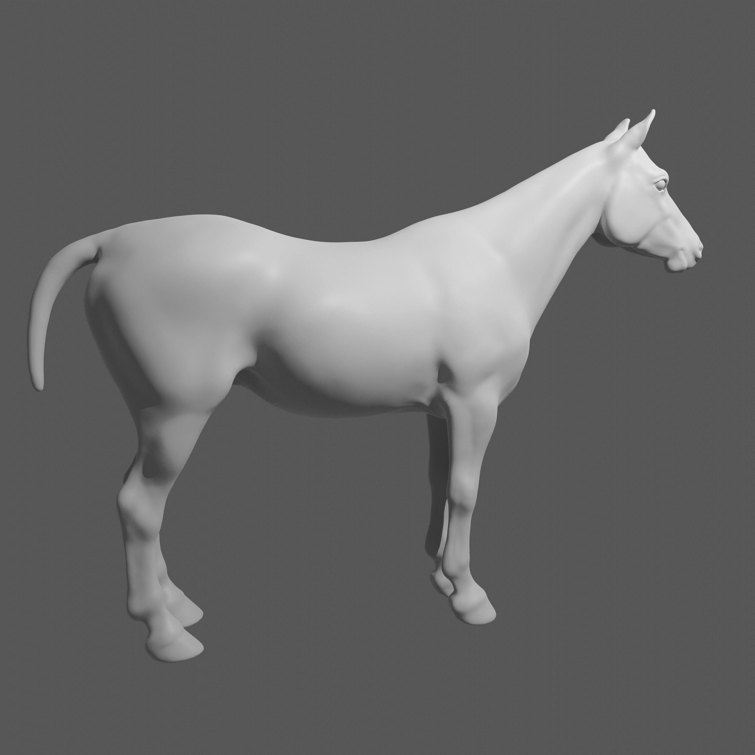 Most realistic horse 3D model_14