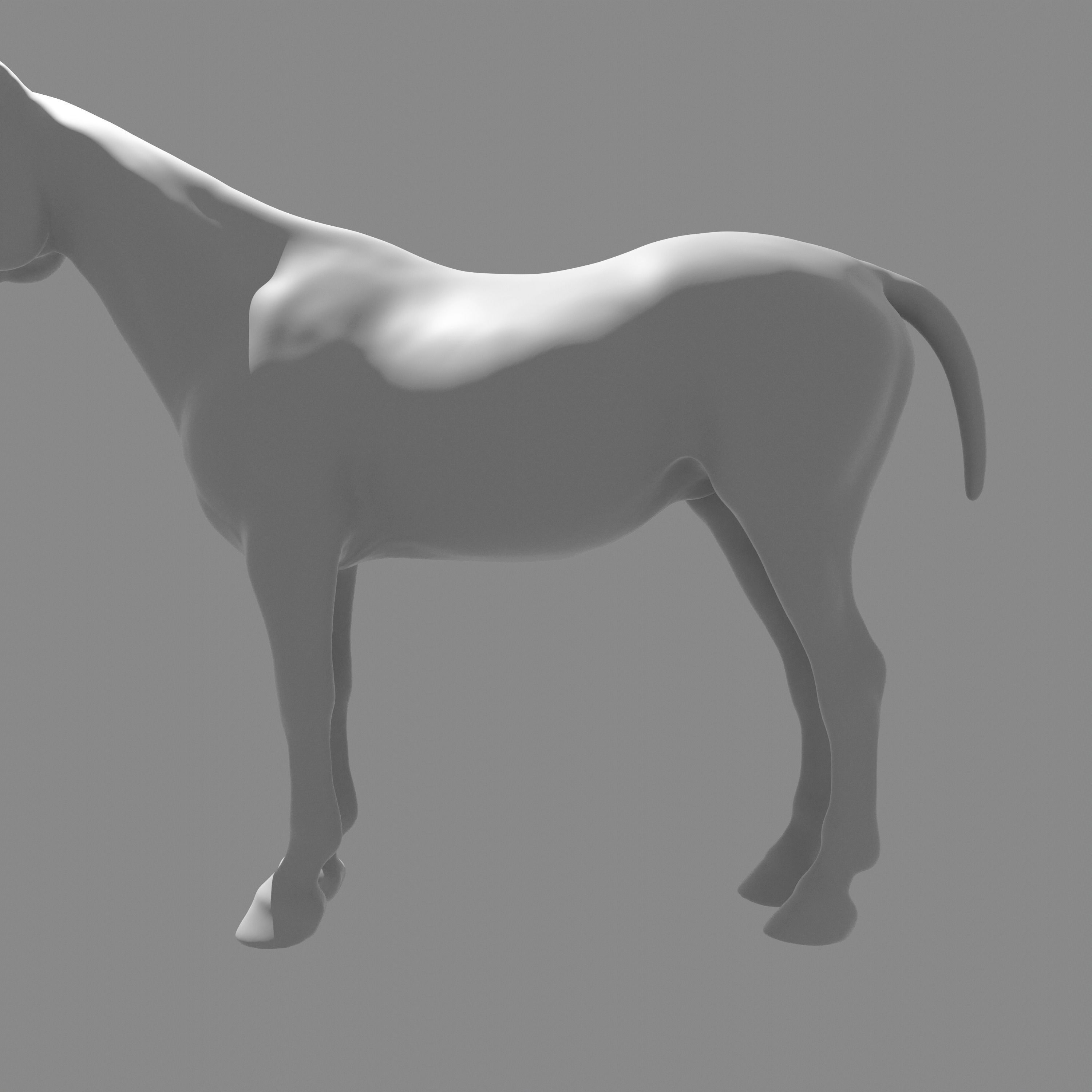 Most realistic horse 3D model_10