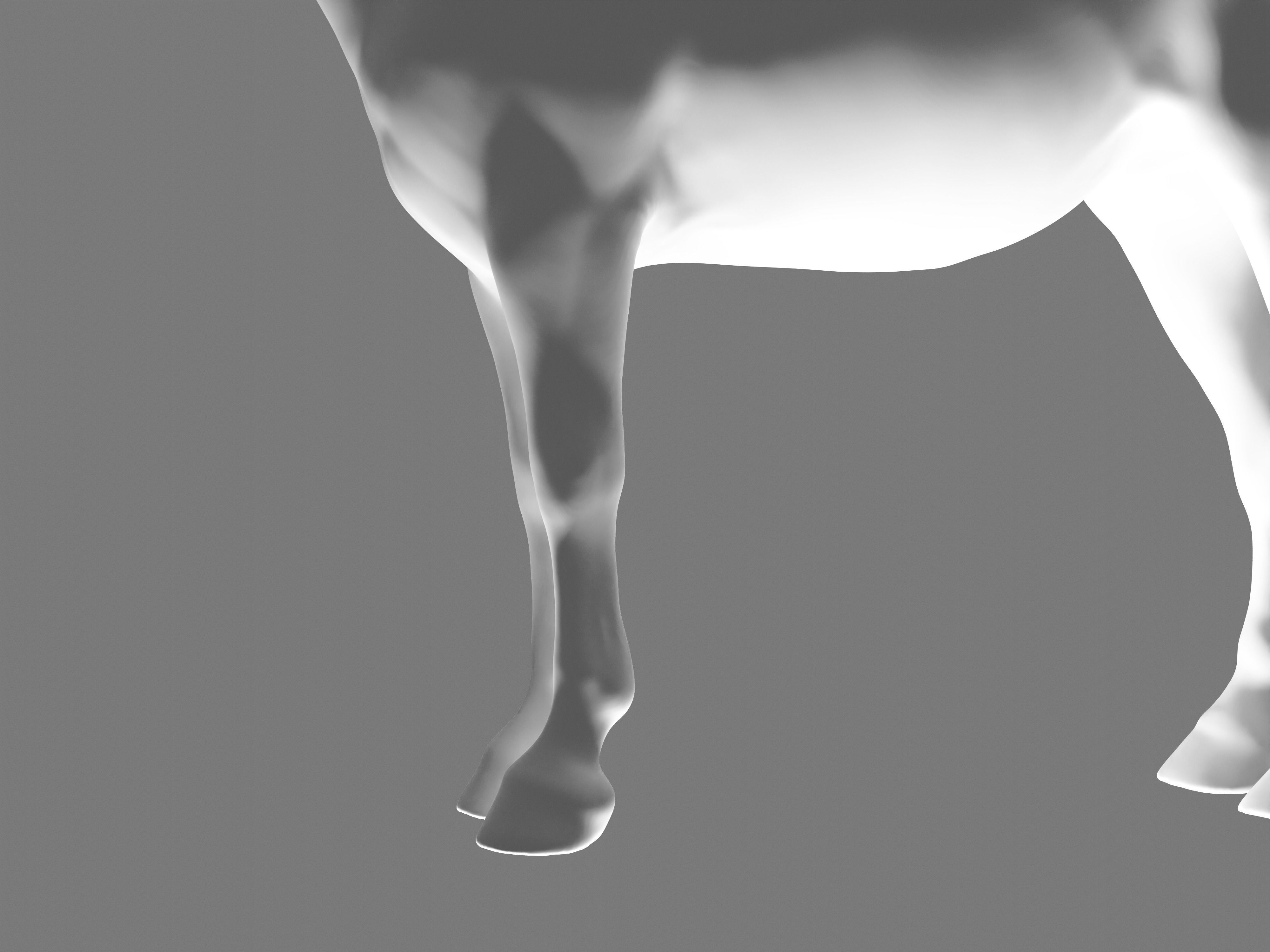 Most realistic horse 3D model_21