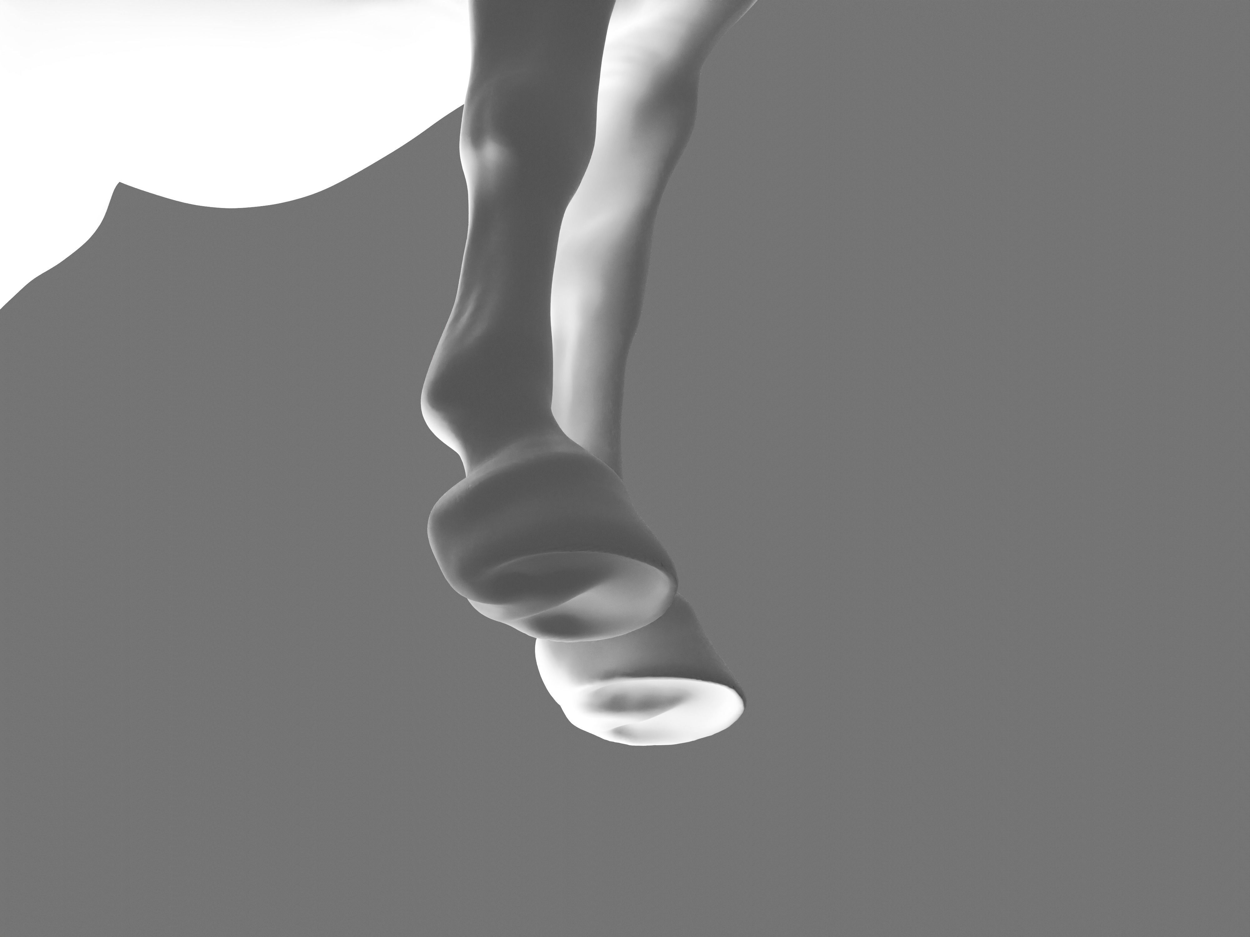 Most realistic horse 3D model_27