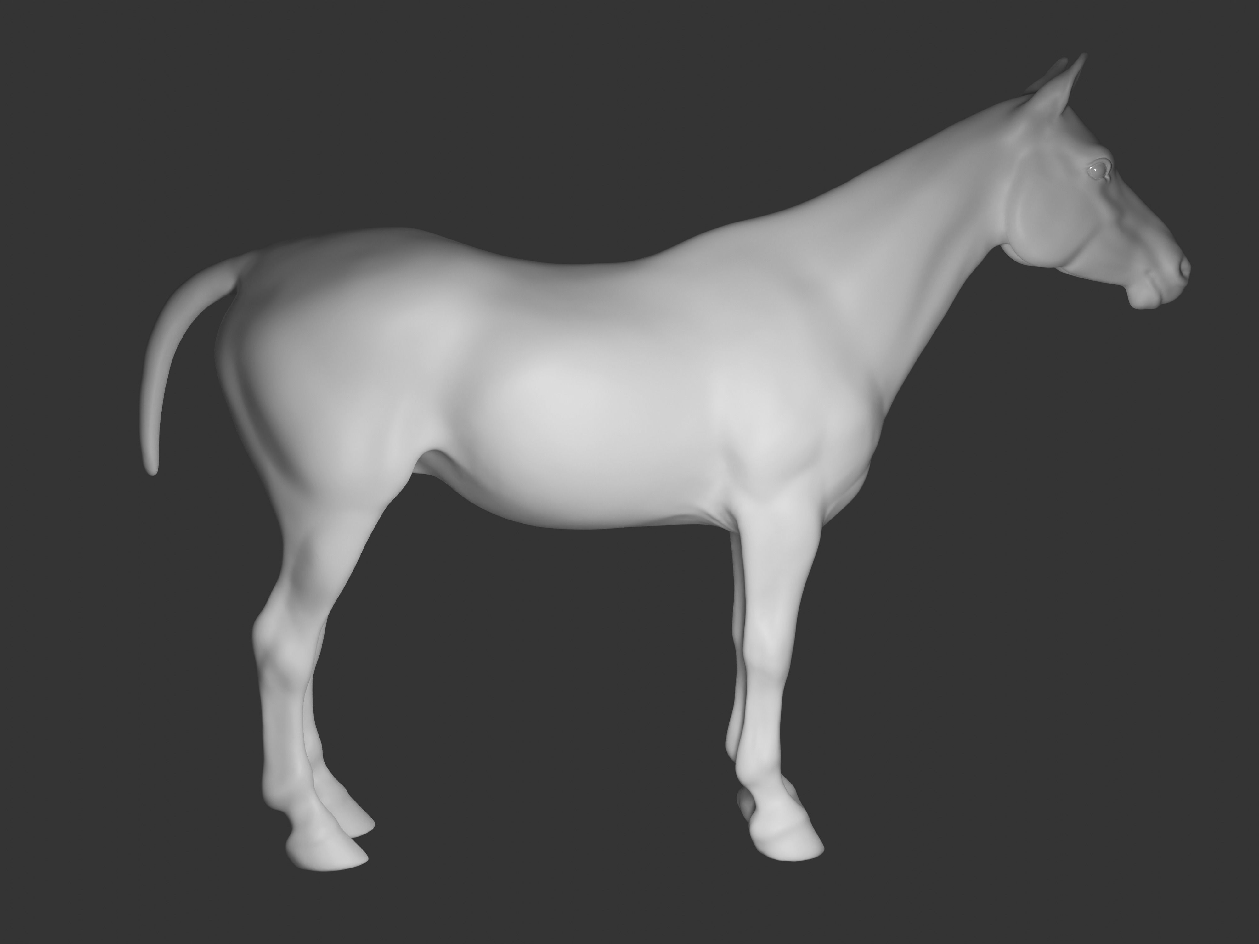 Most realistic horse 3D model_15