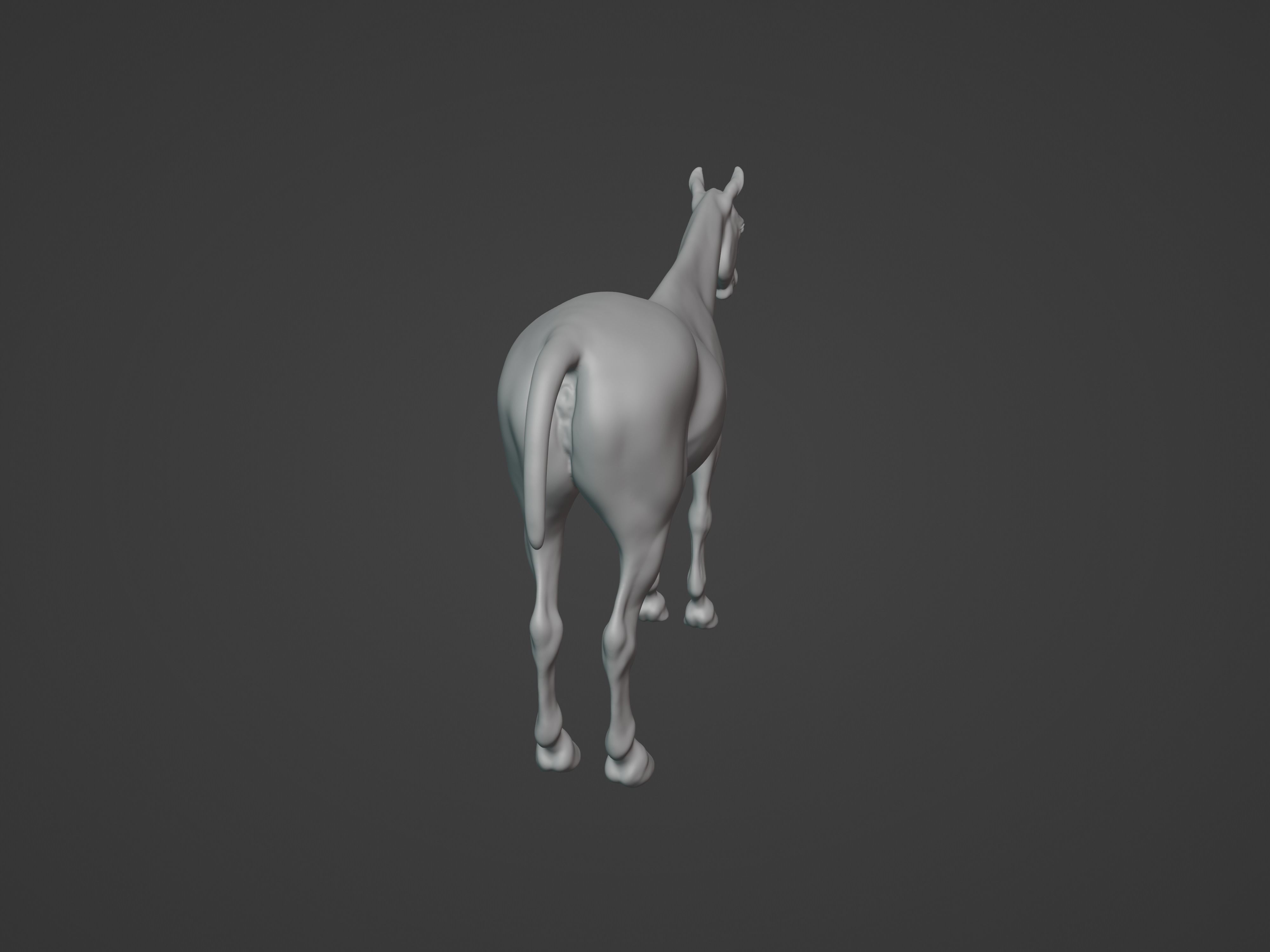 Most realistic horse 3D model_20