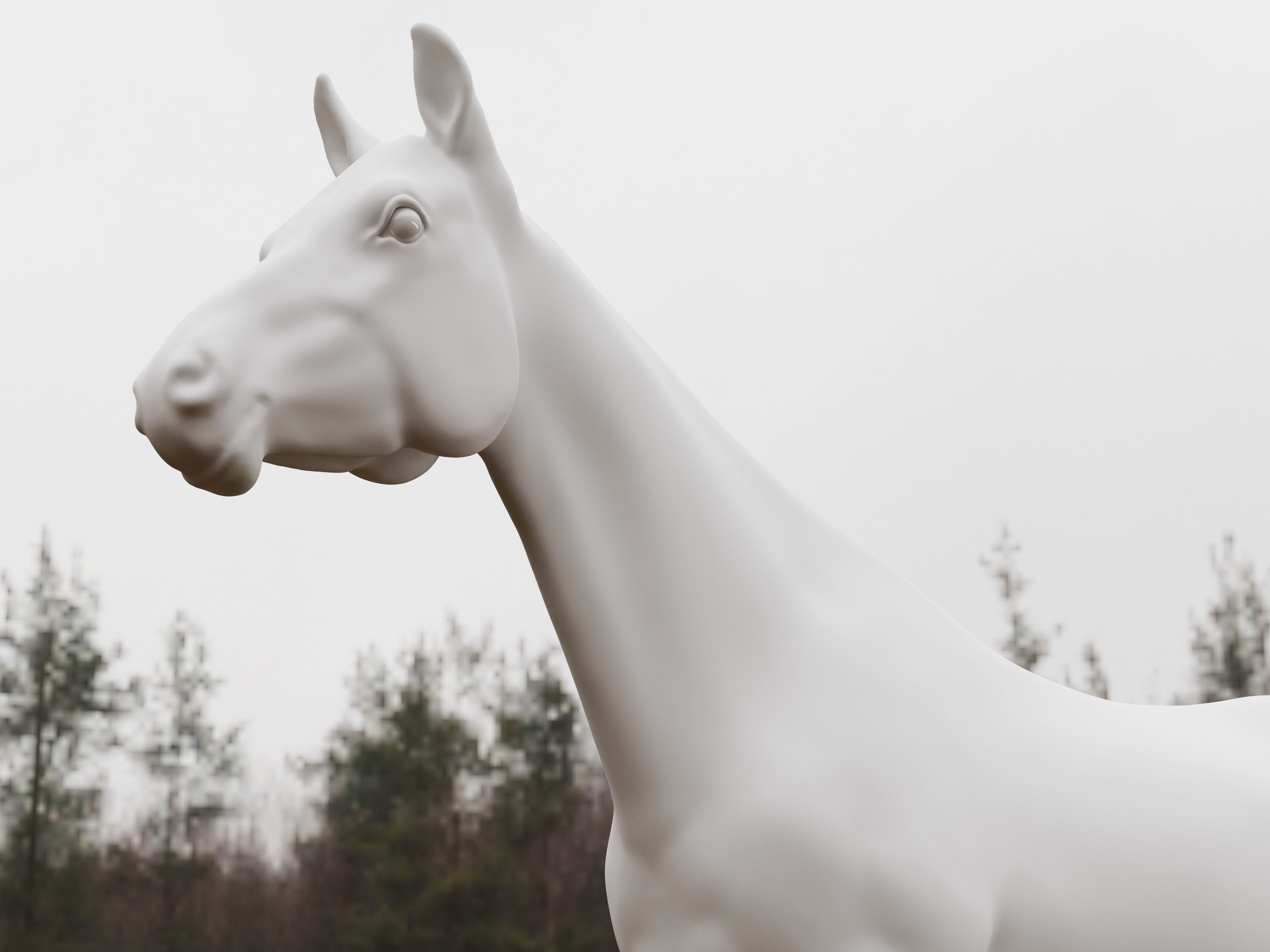 Most realistic horse 3D model_7