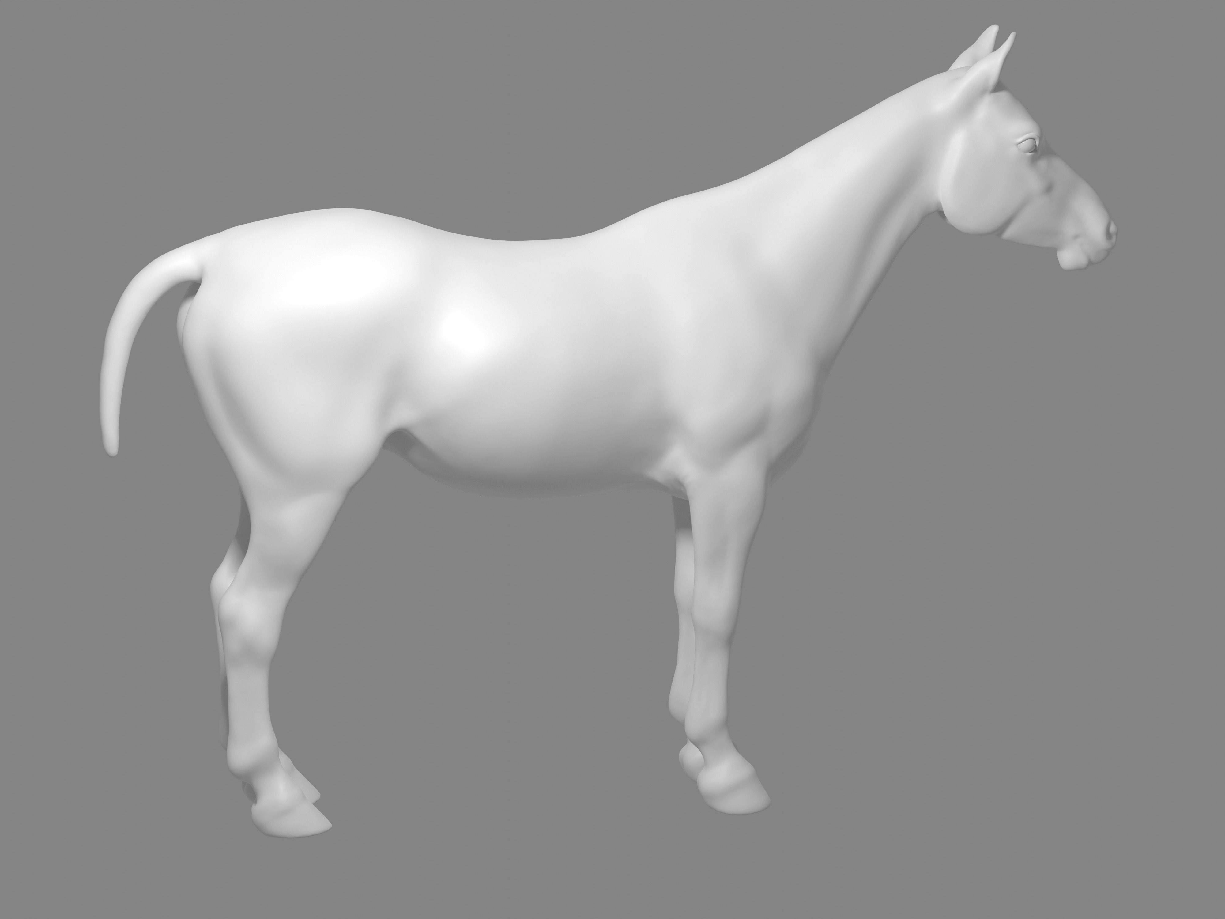 Most realistic horse 3D model_3
