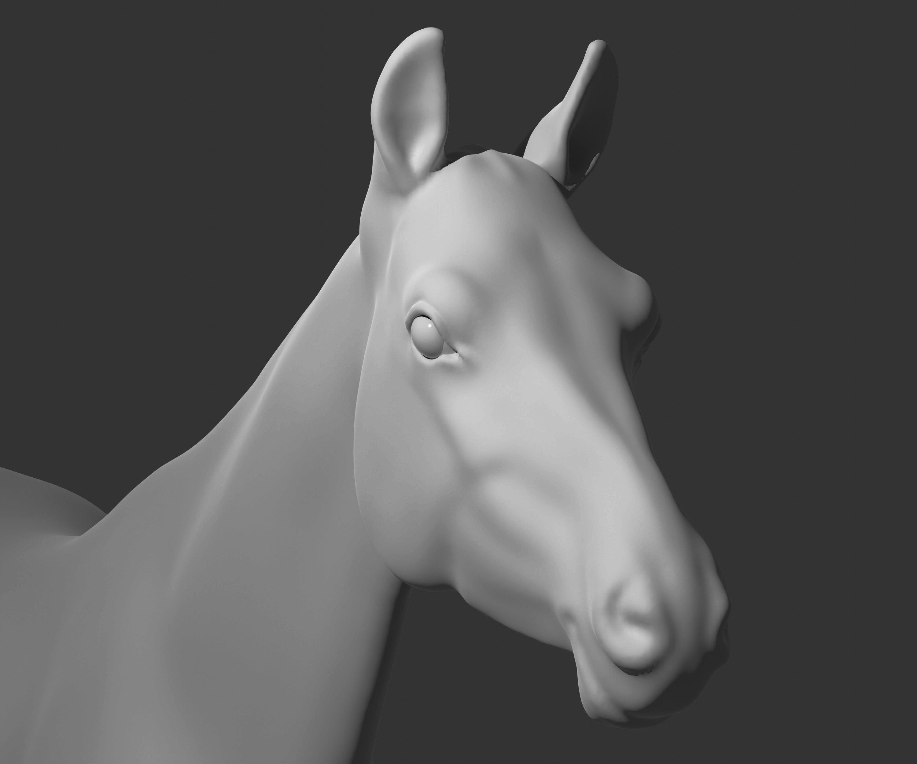 Most realistic horse 3D model_16