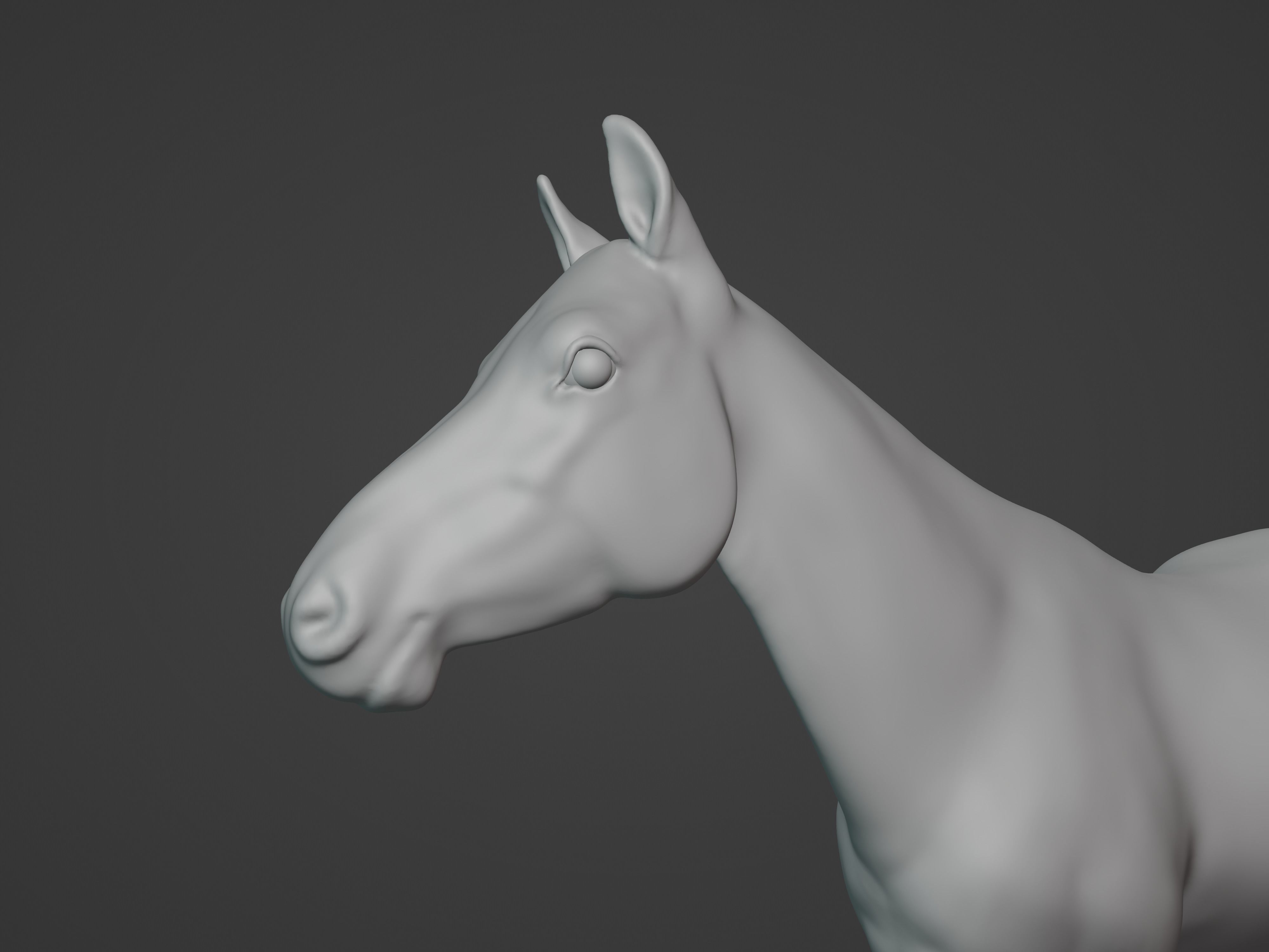 Most realistic horse 3D model_19