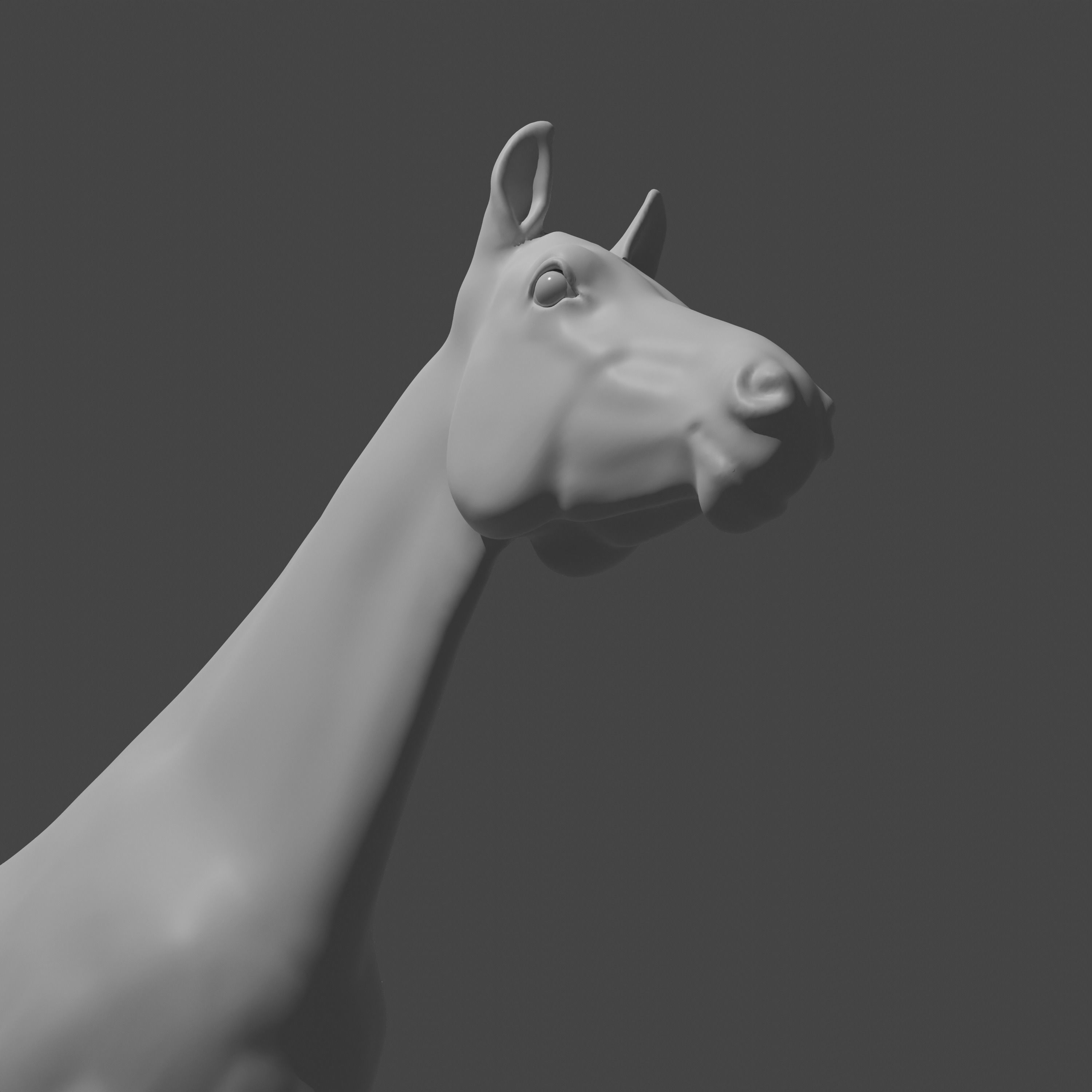 Most realistic horse 3D model_13