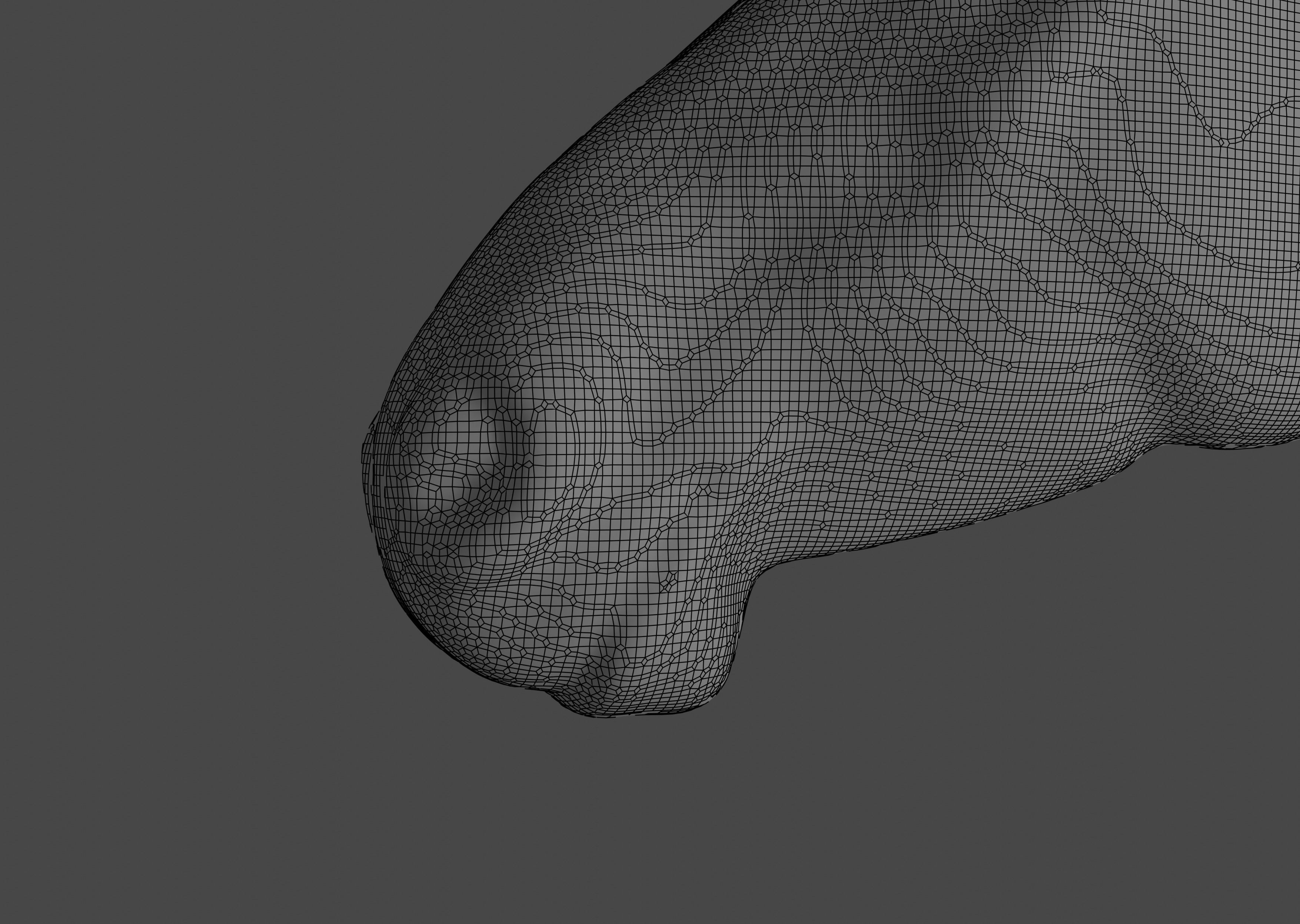 Most realistic horse 3D model_25