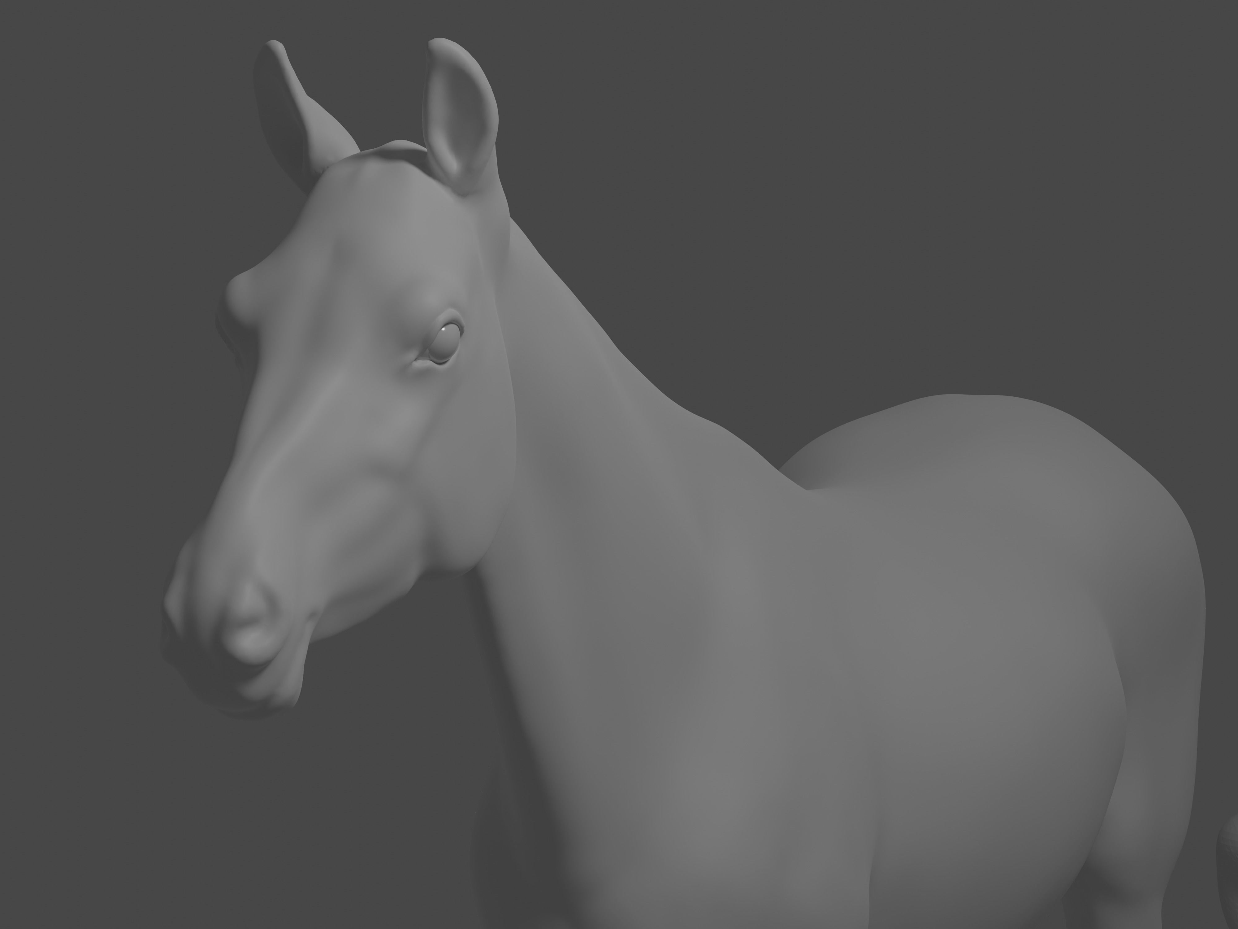 Most realistic horse 3D model_23